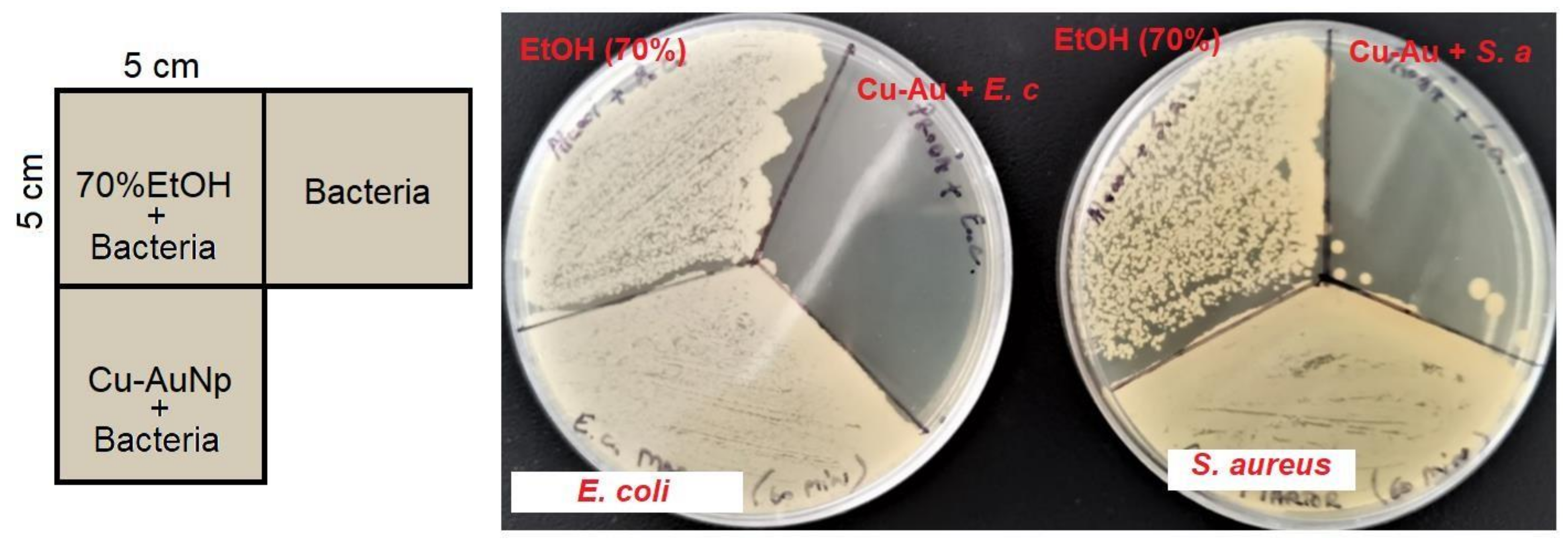 Nanomaterials 11 03388 g011