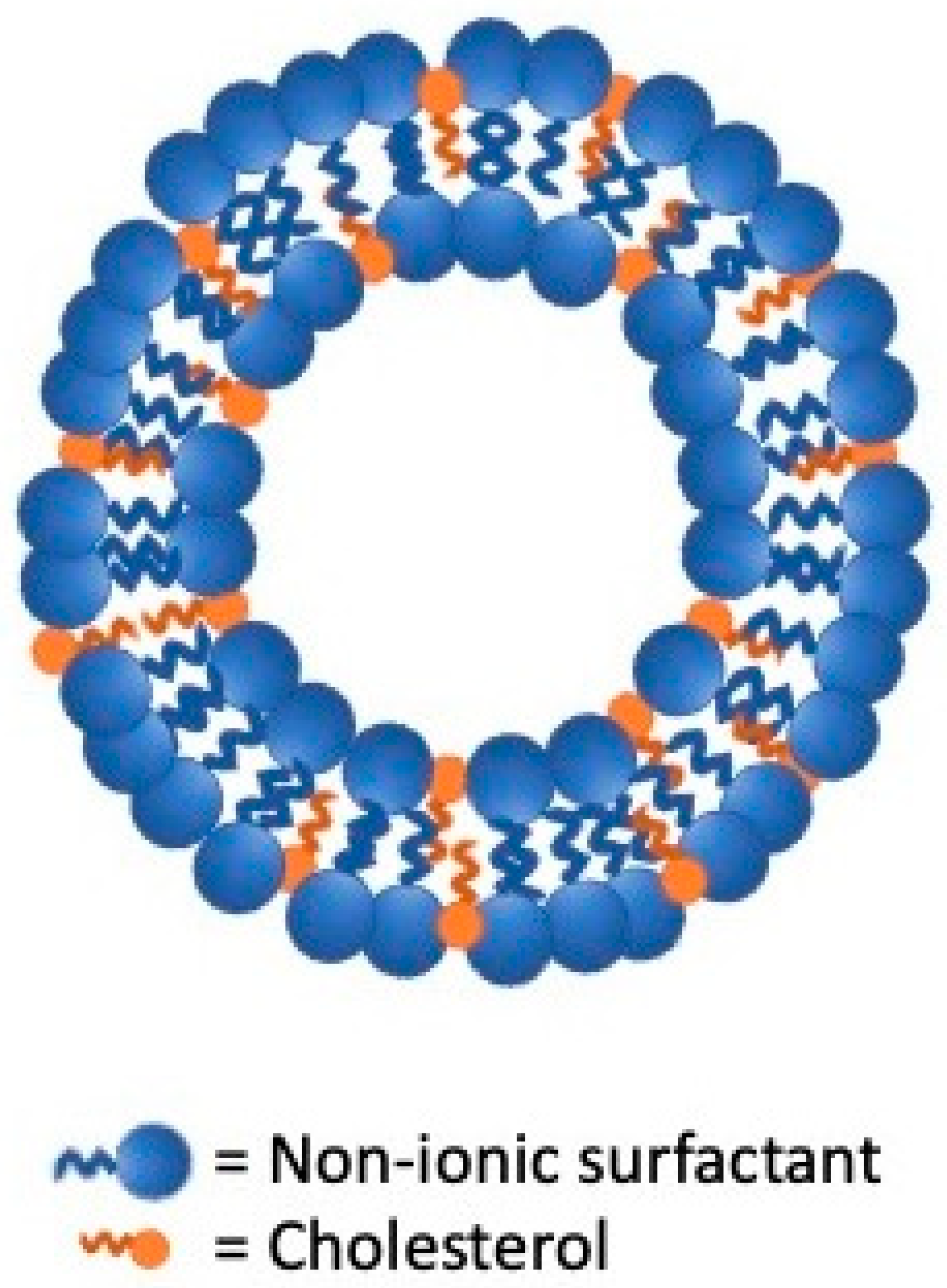 Nanomaterials 11 03391 g001