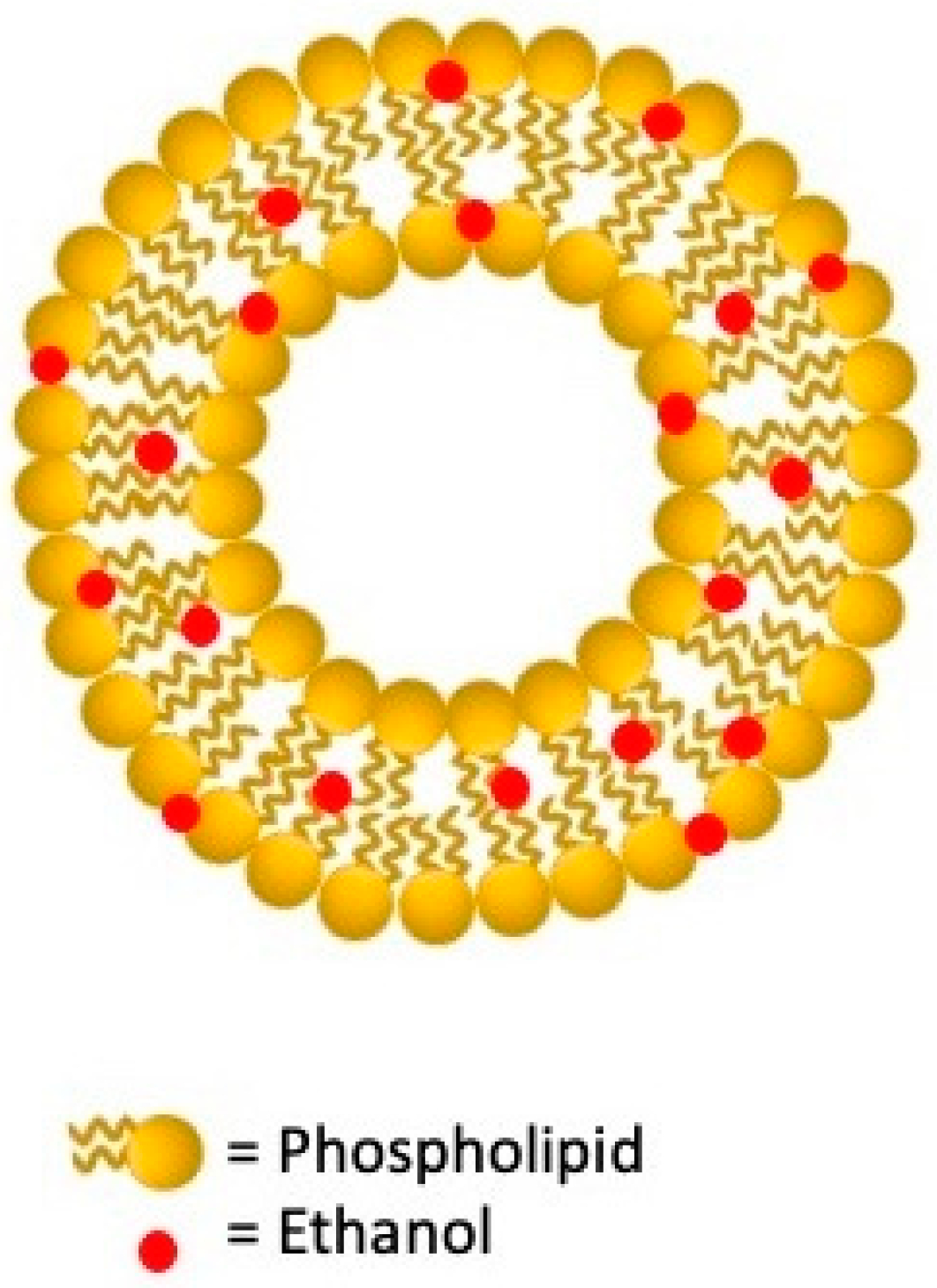 Nanomaterials 11 03391 g003