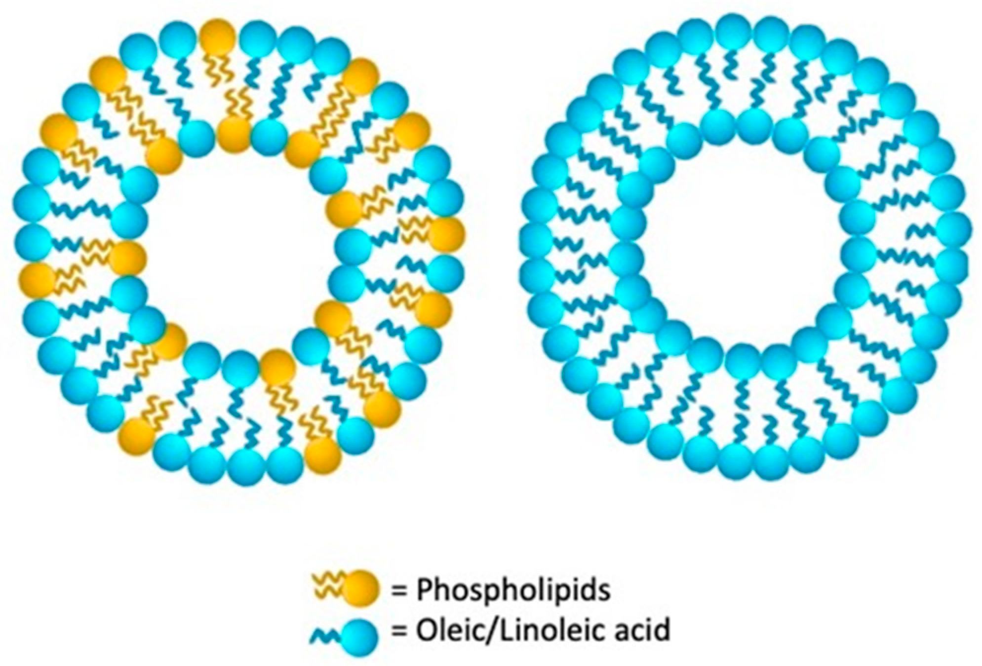 Nanomaterials 11 03391 g006