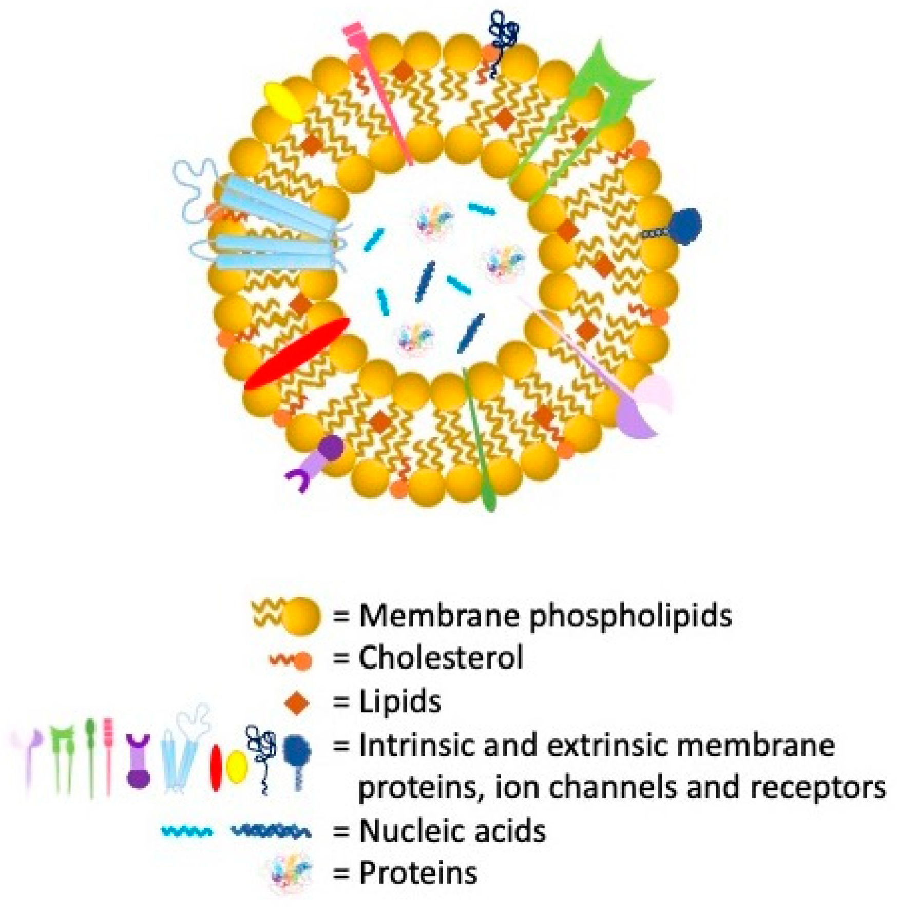Nanomaterials 11 03391 g009