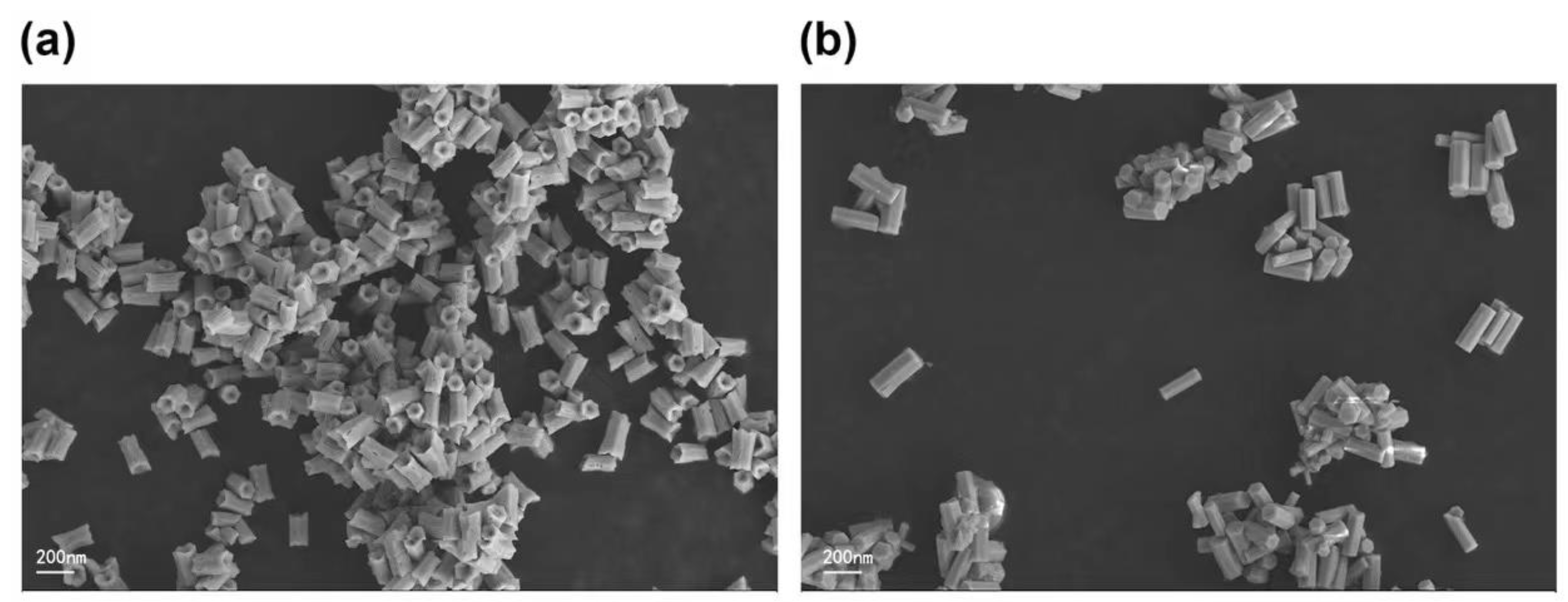 Nanomaterials 11 03395 g003