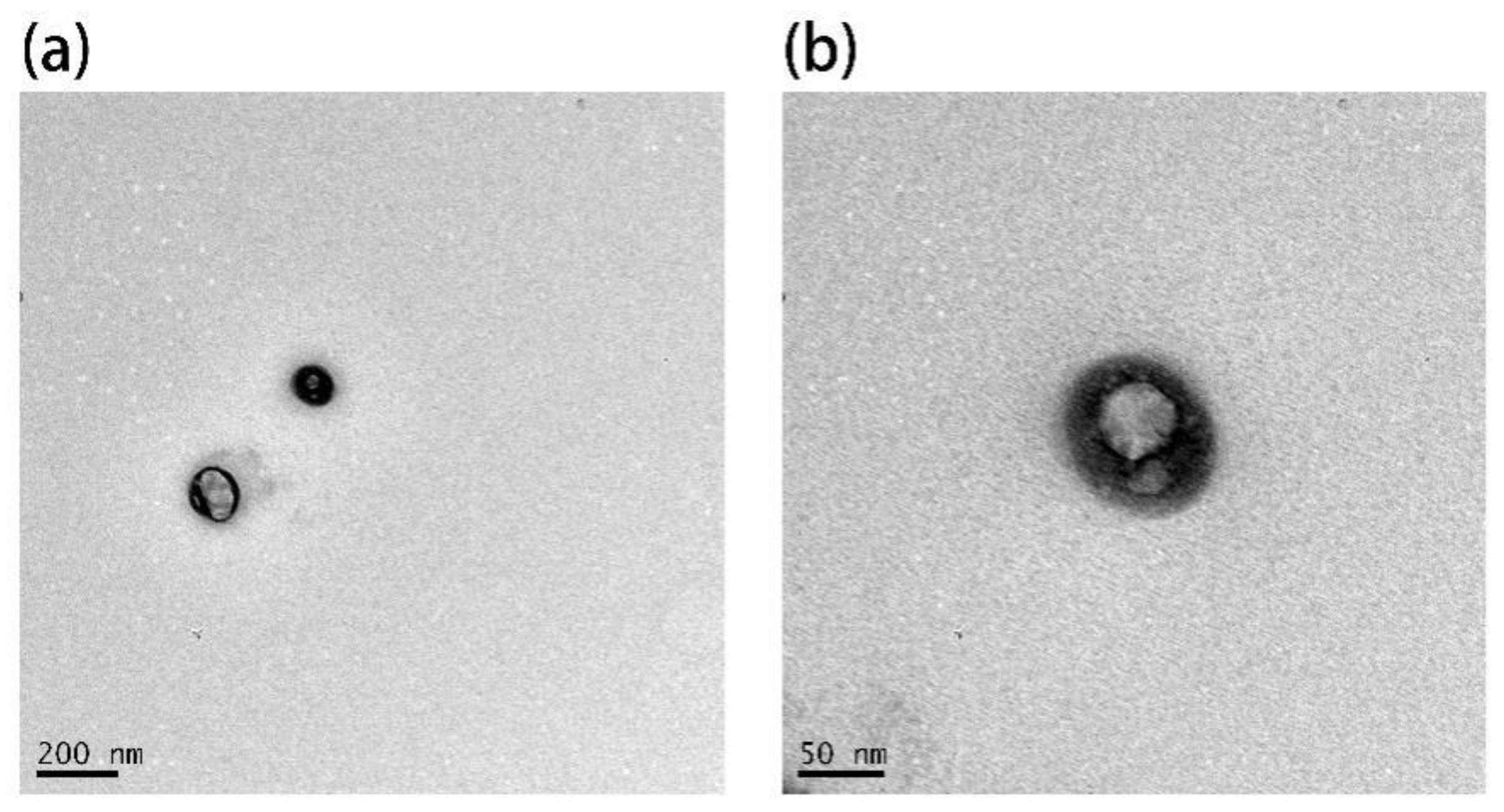 Nanomaterials 11 03395 g009