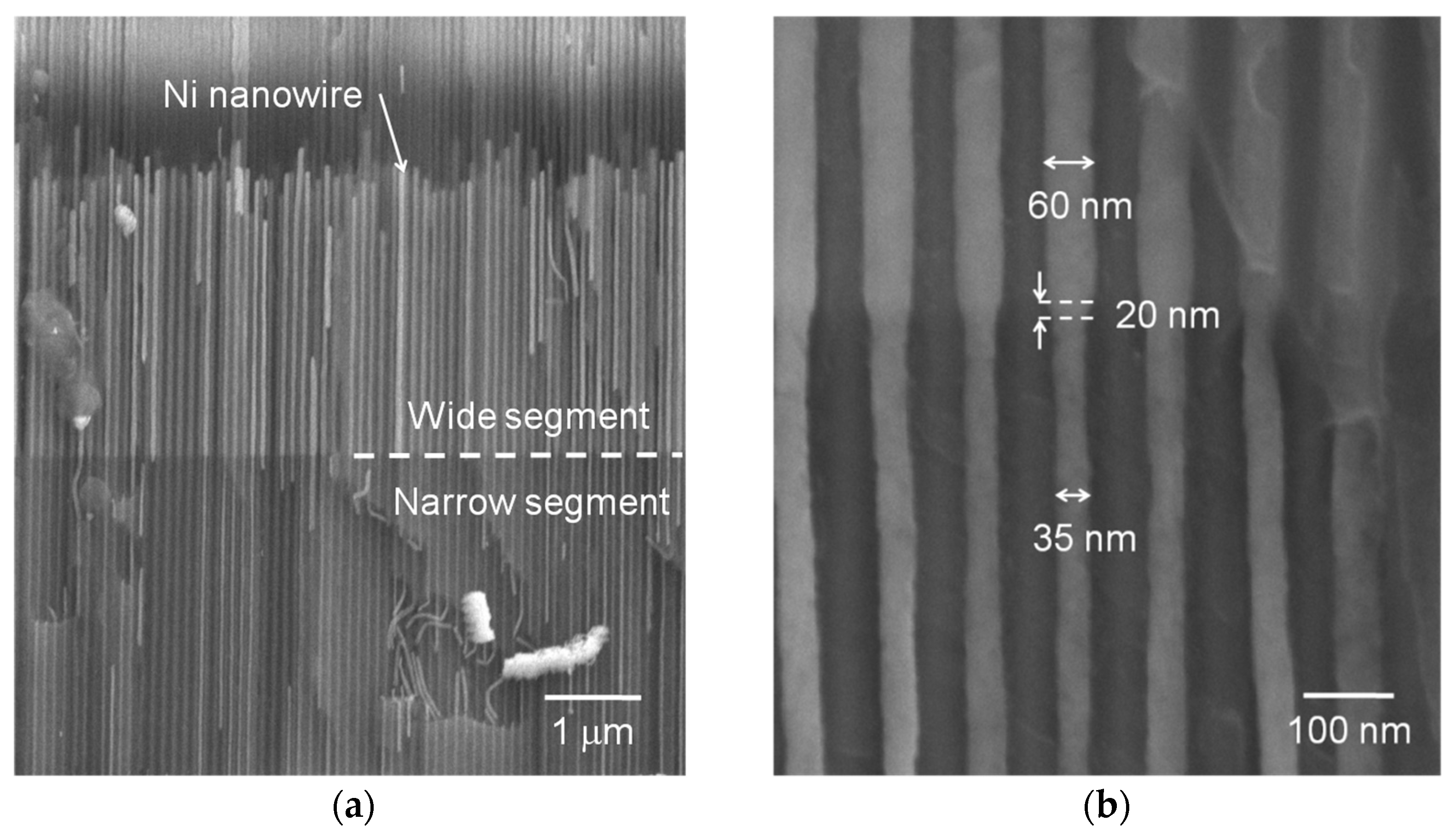 Nanomaterials 11 03403 g001