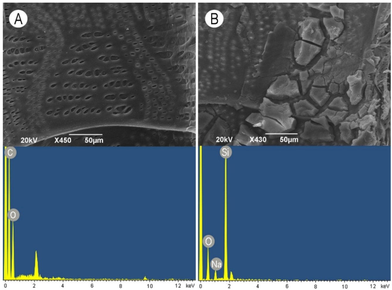 Nanomaterials 11 03405 g006
