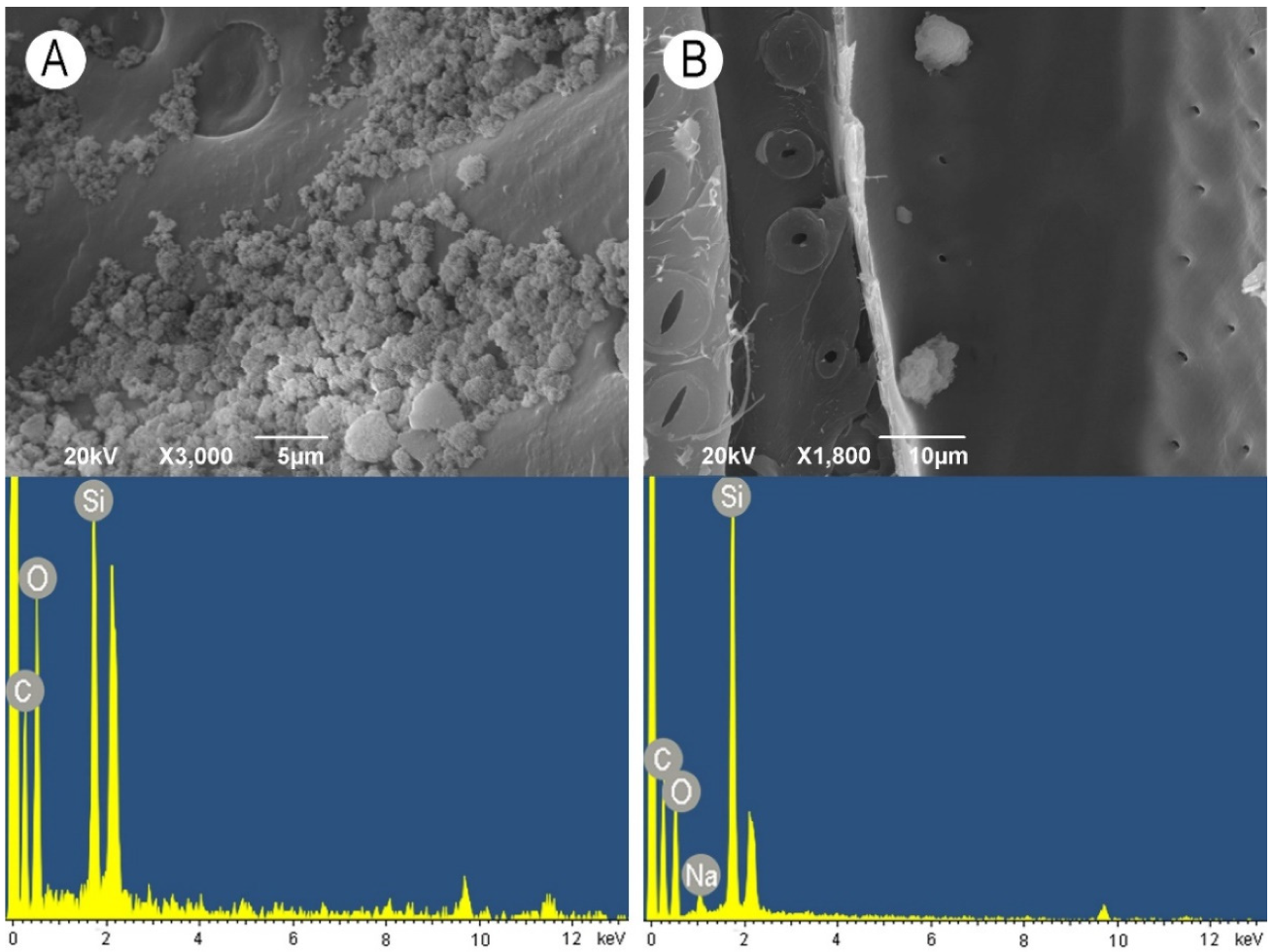 Nanomaterials 11 03405 g008