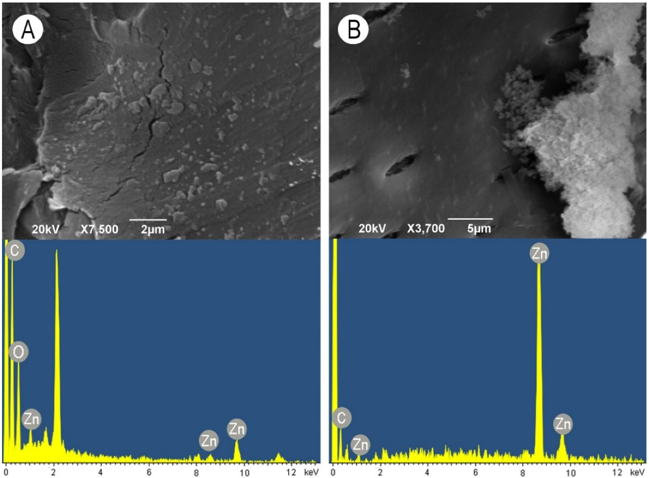 Nanomaterials 11 03405 g009