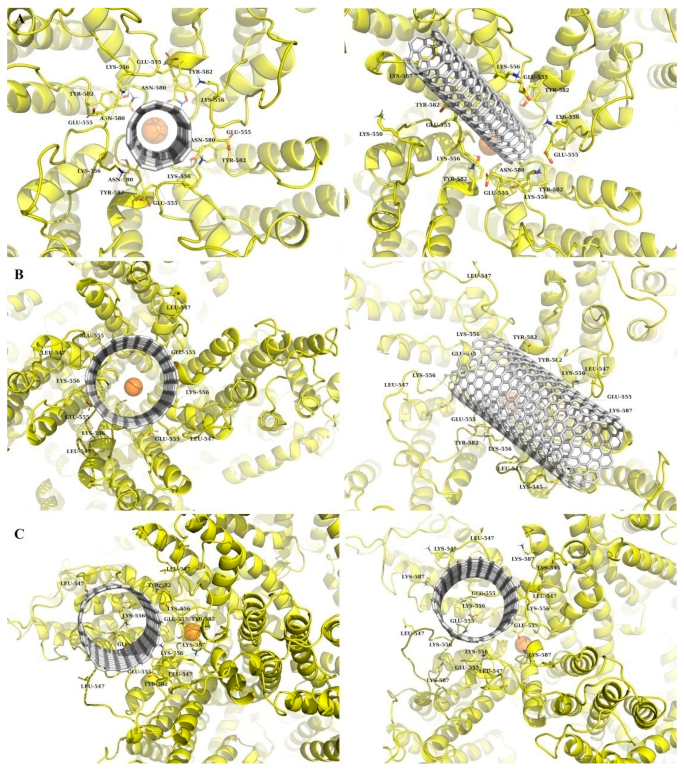 Nanomaterials 11 03410 g002