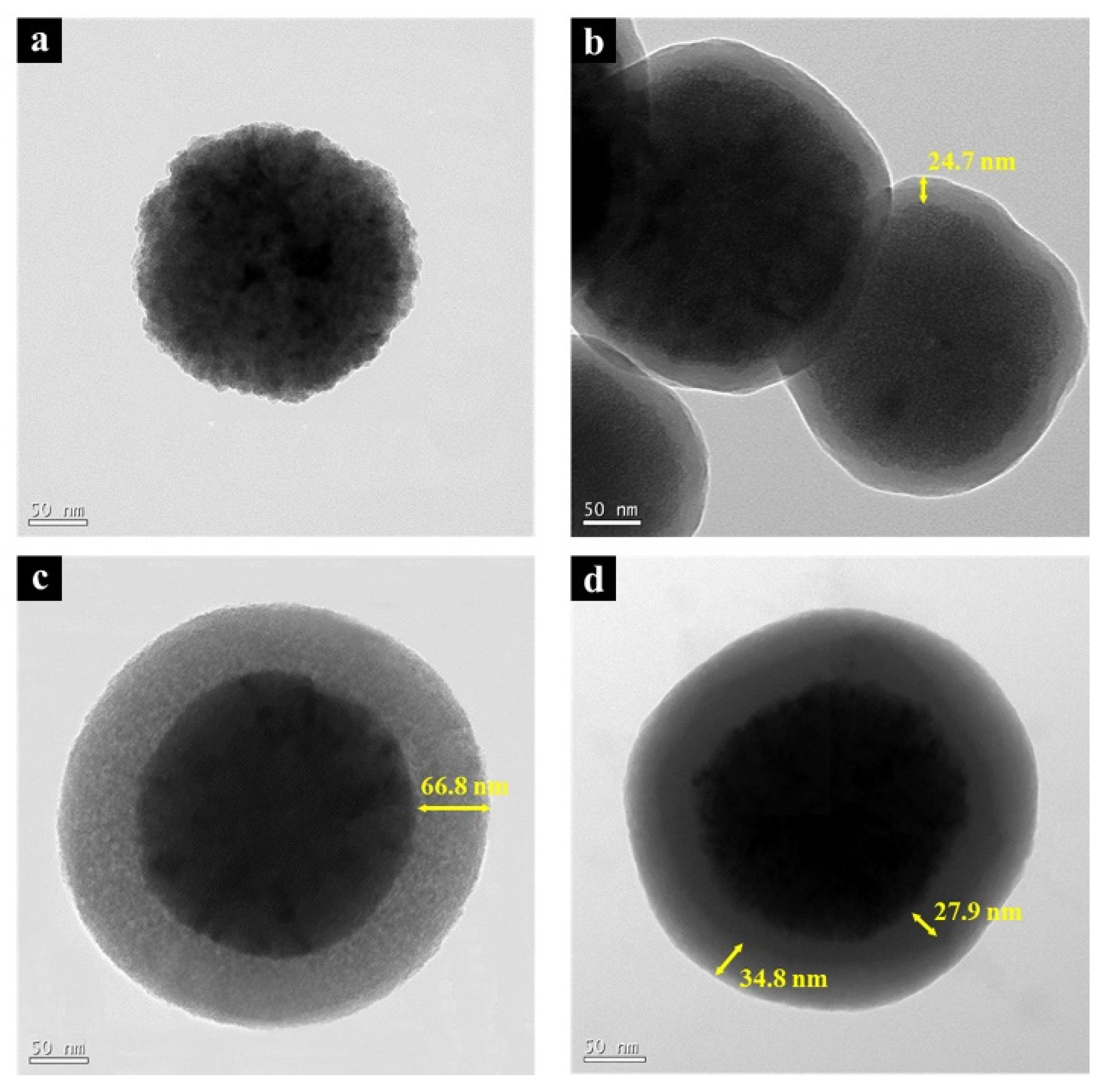 Nanomaterials 11 03422 g003