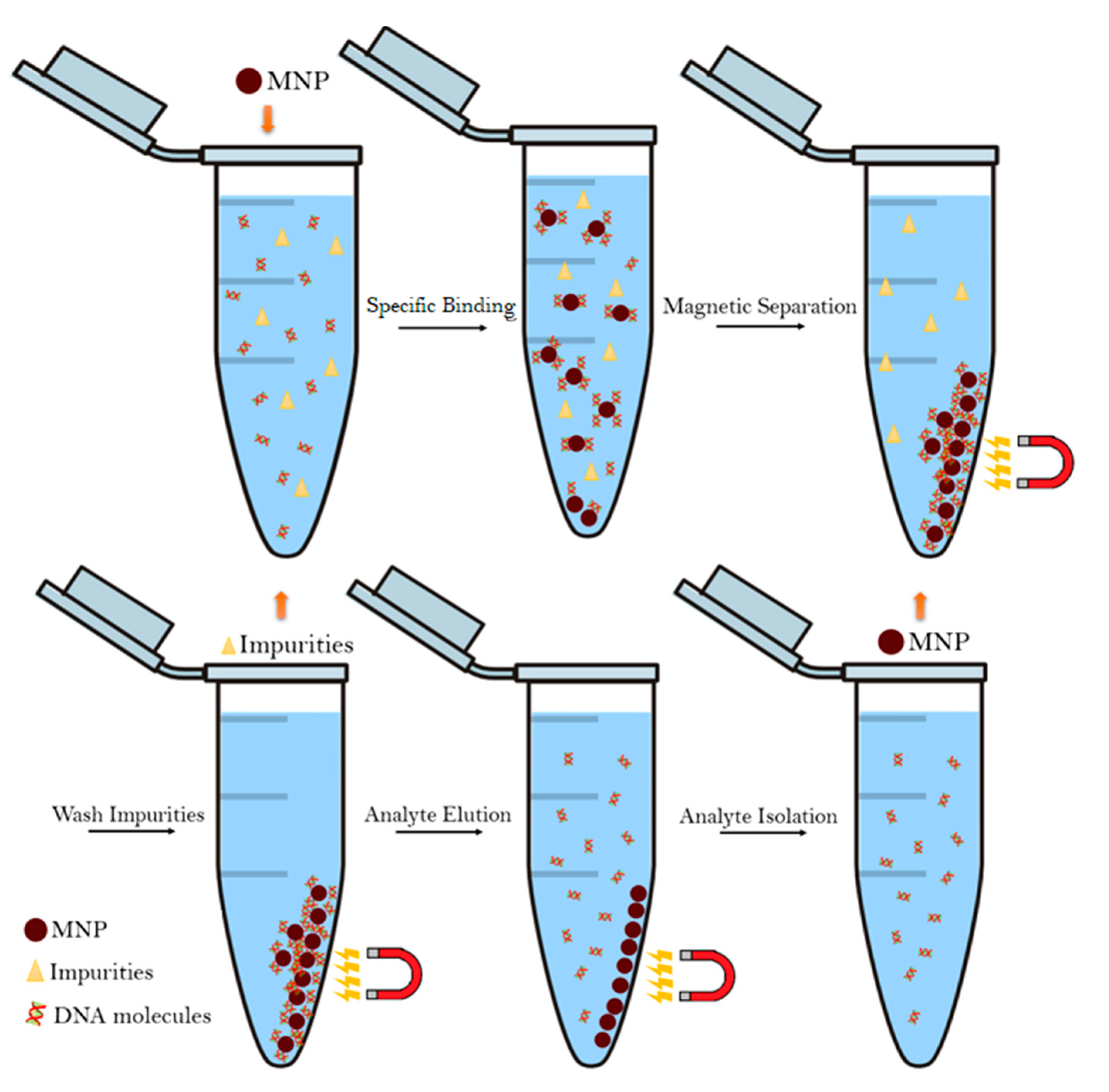 Nanomaterials 11 03432 g005