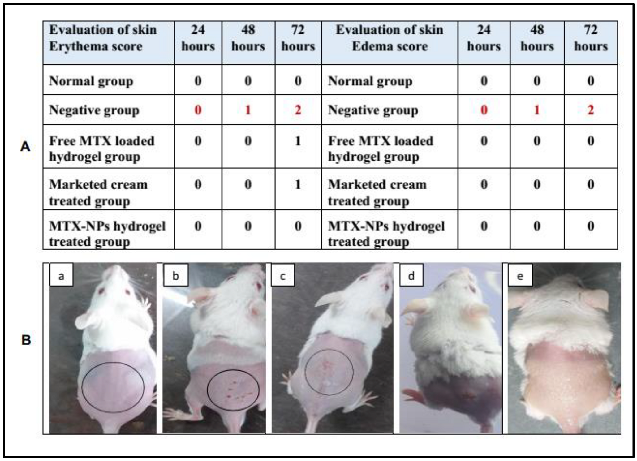 Nanomaterials 11 03433 g009