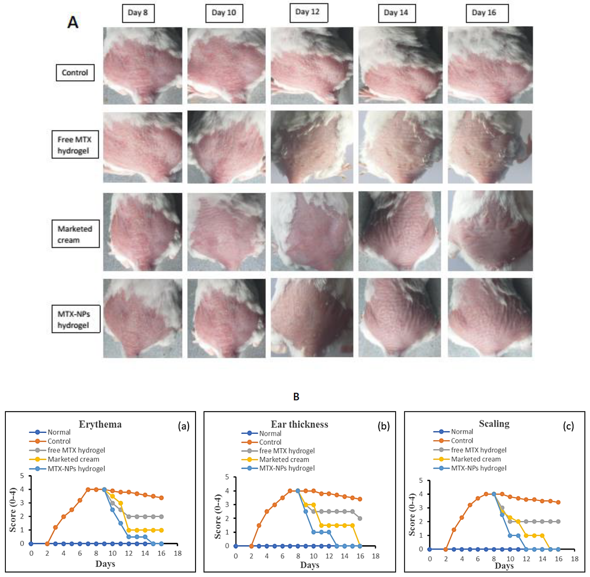Nanomaterials 11 03433 g010
