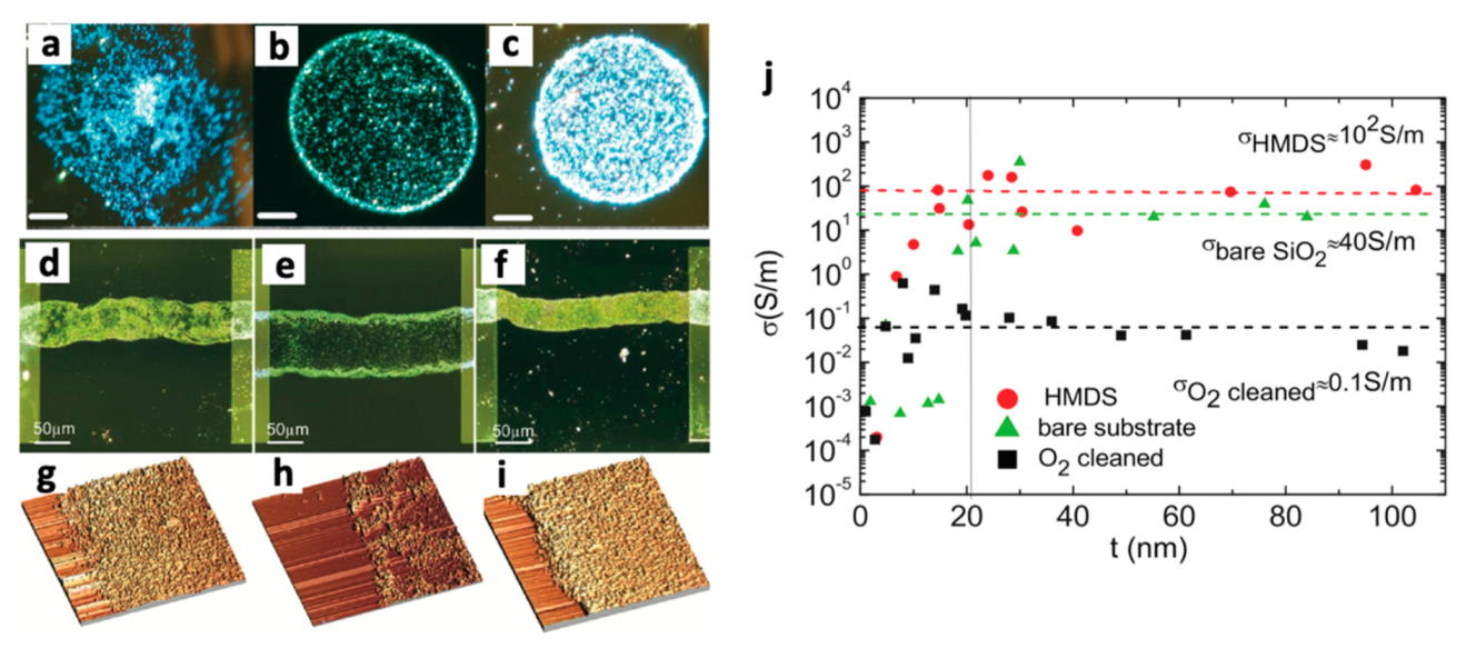 Nanomaterials 11 03441 g002 Nanomaterials 11 03441 g002