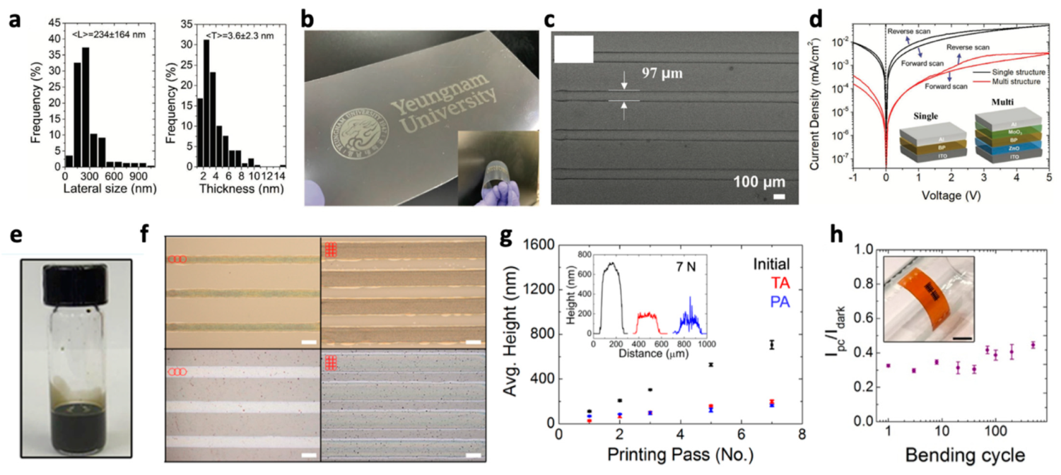 Nanomaterials 11 03441 g005 Nanomaterials 11 03441 g005