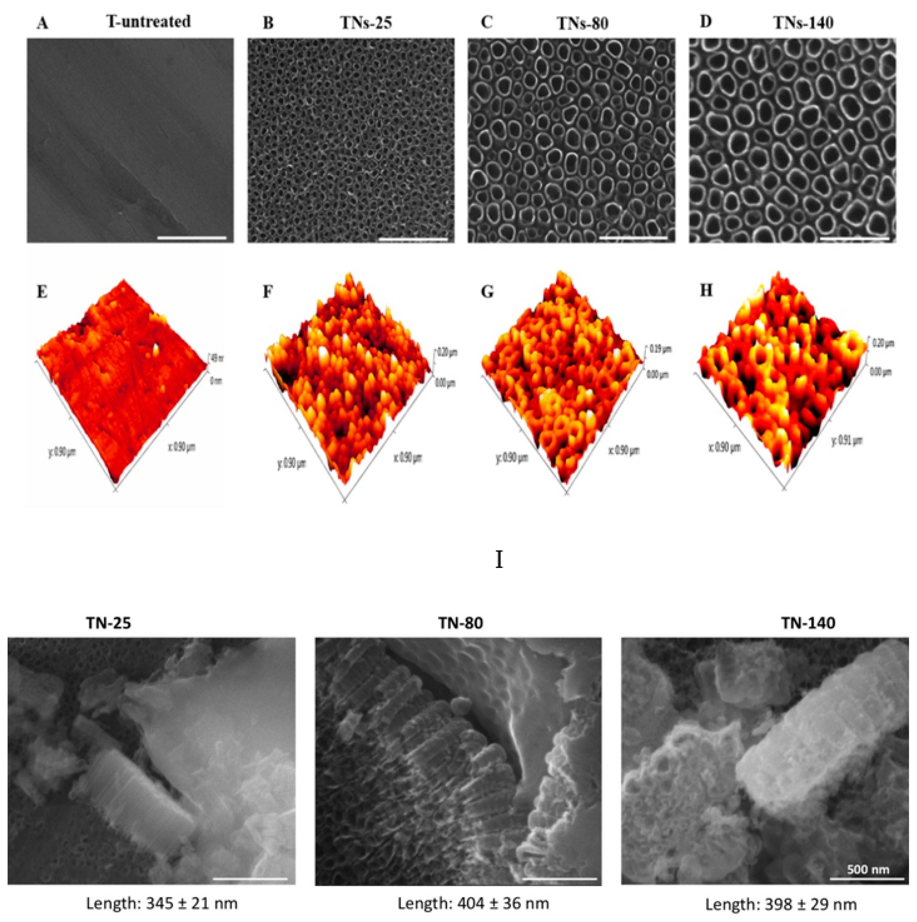 Nanomaterials 11 03452 g001 Nanomaterials 11 03452 g001