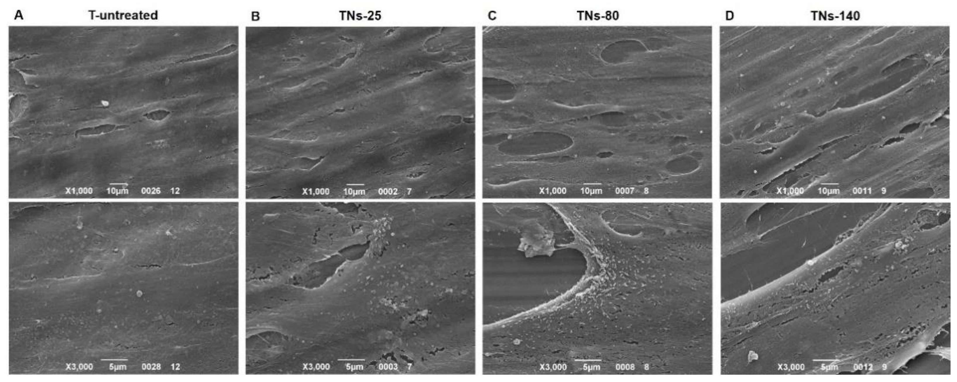 Nanomaterials 11 03452 g004 Nanomaterials 11 03452 g004