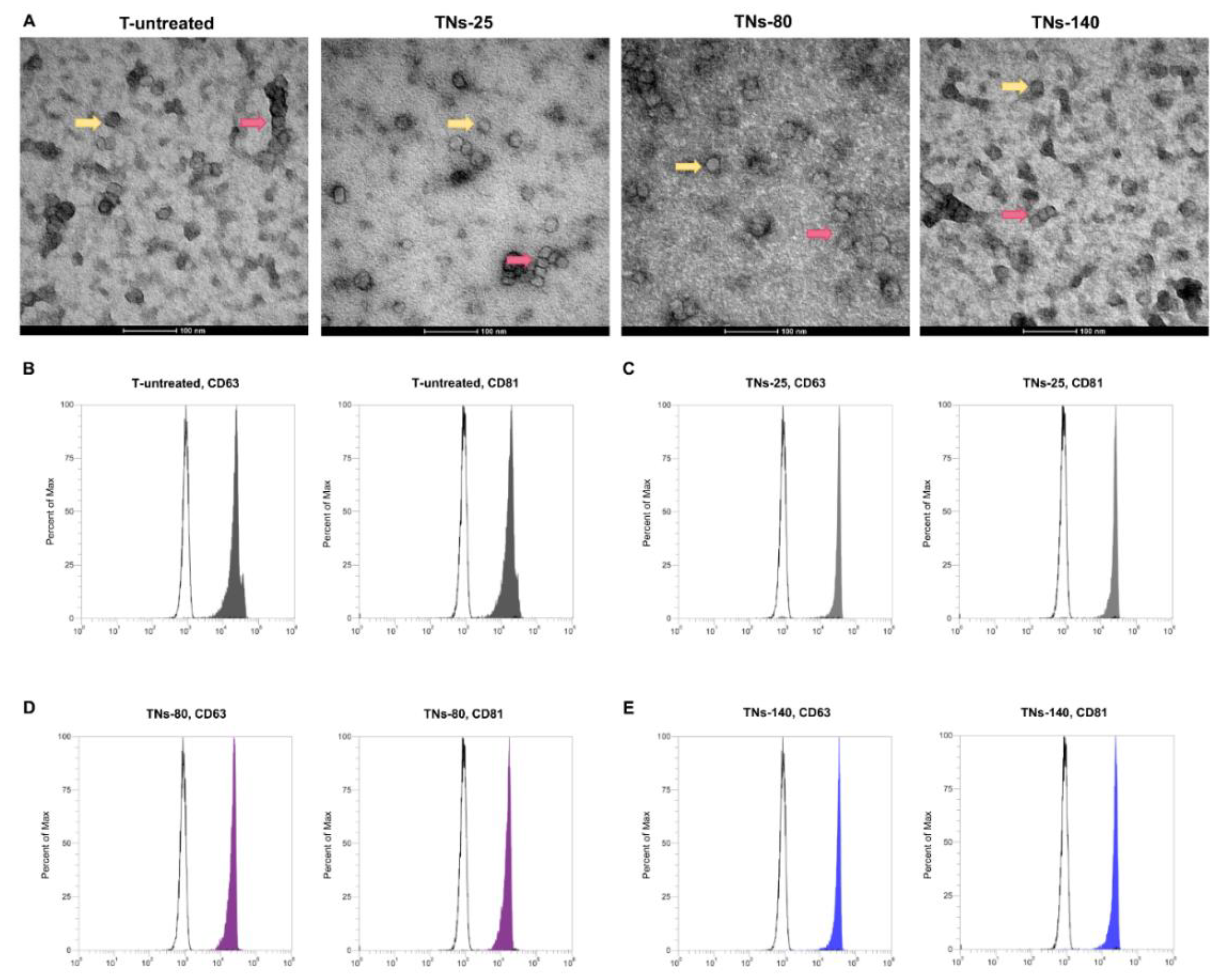 Nanomaterials 11 03452 g006 Nanomaterials 11 03452 g006