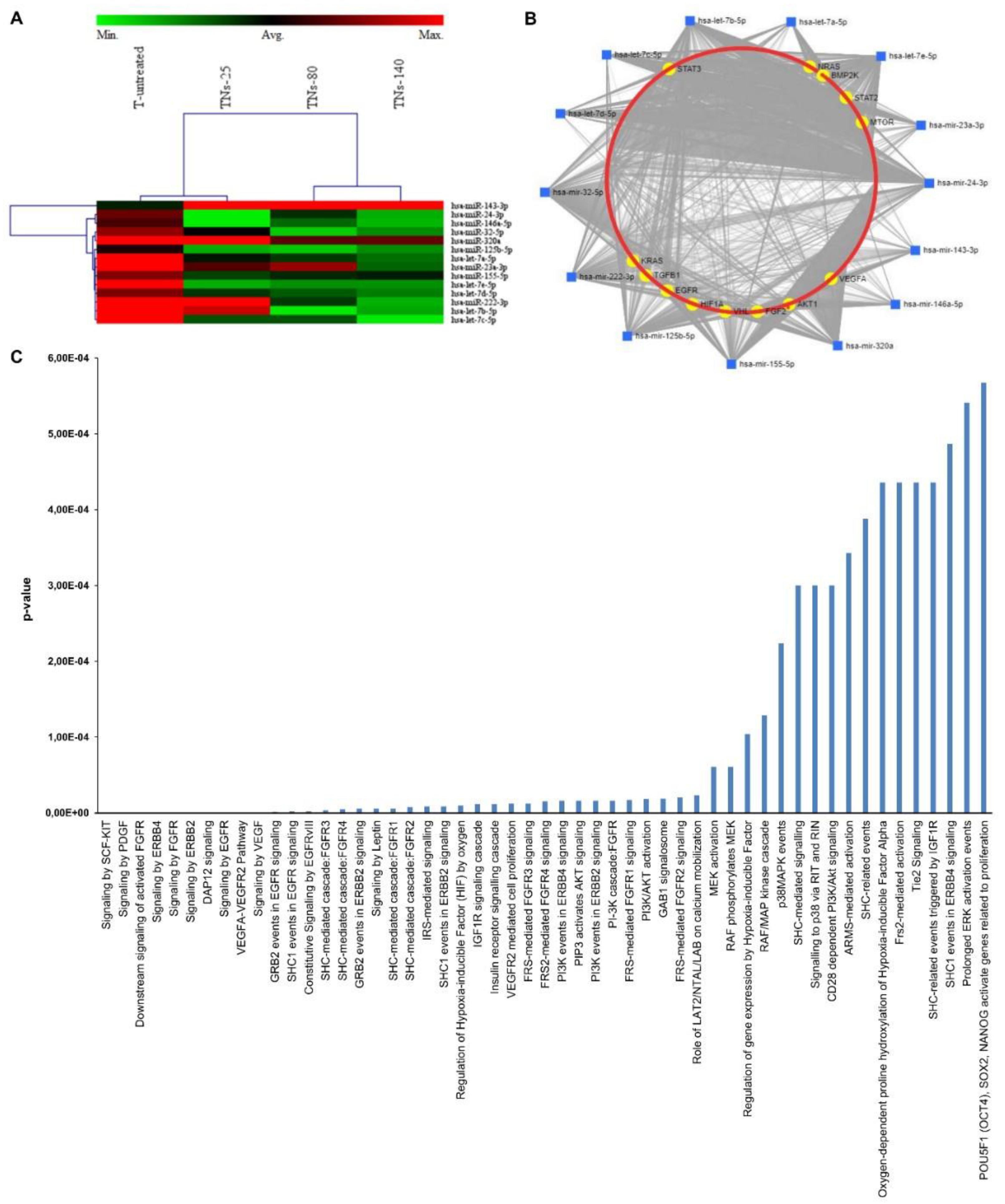 Nanomaterials 11 03452 g008 Nanomaterials 11 03452 g008