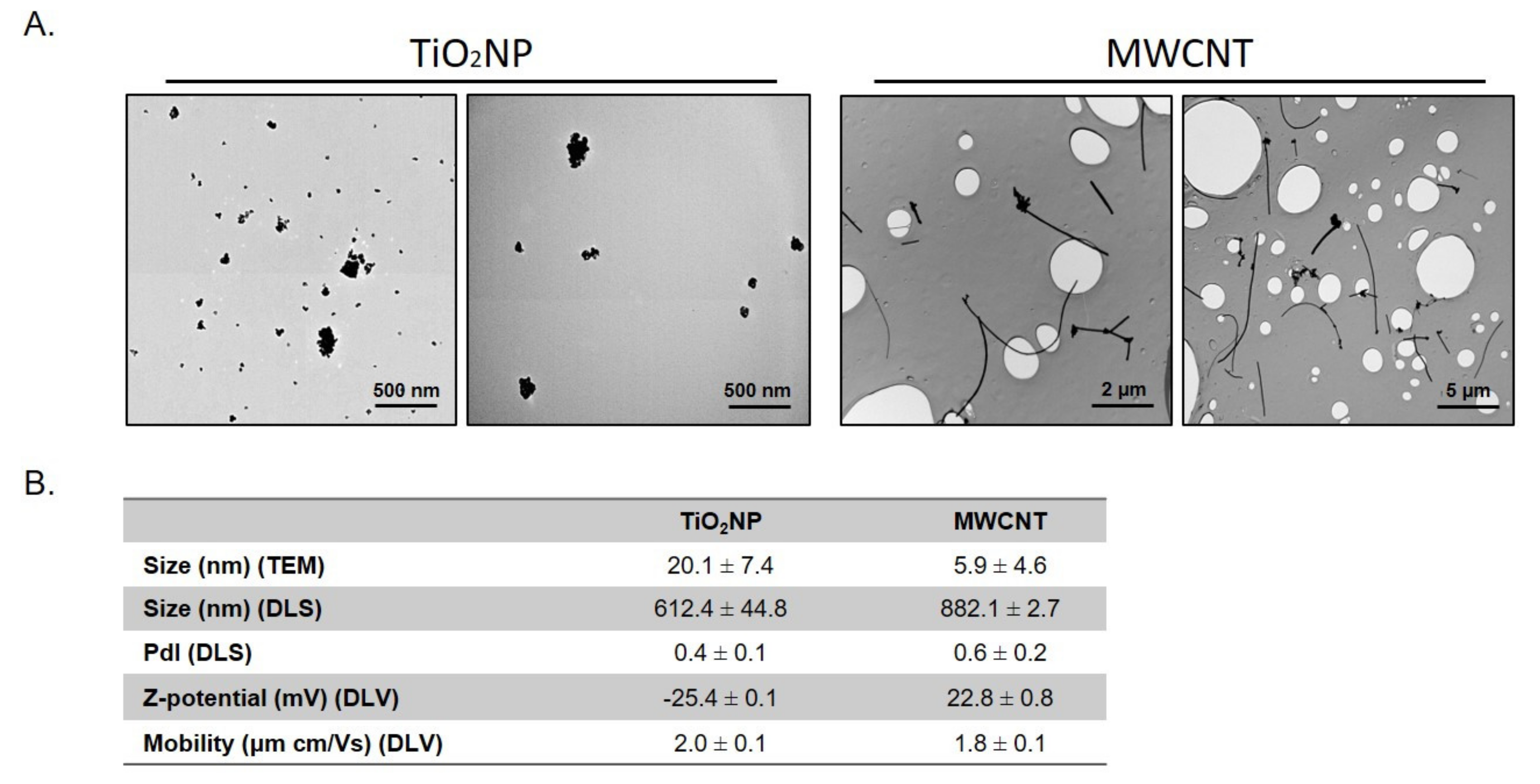 Nanomaterials 11 03458 g001