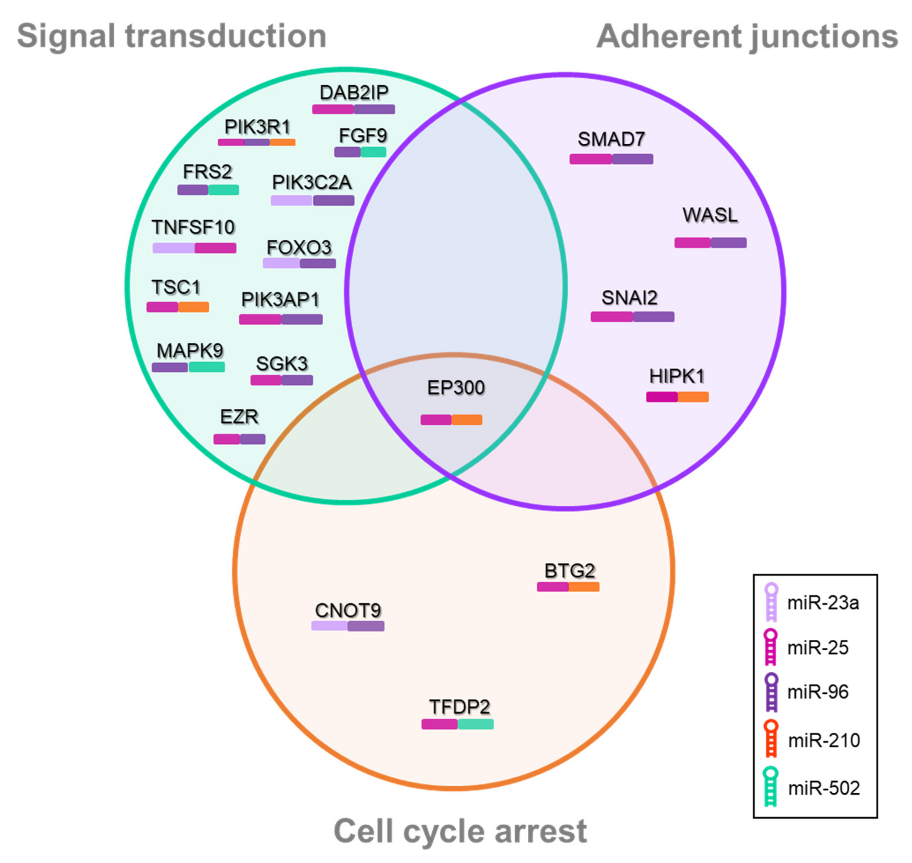 Nanomaterials 11 03458 g007