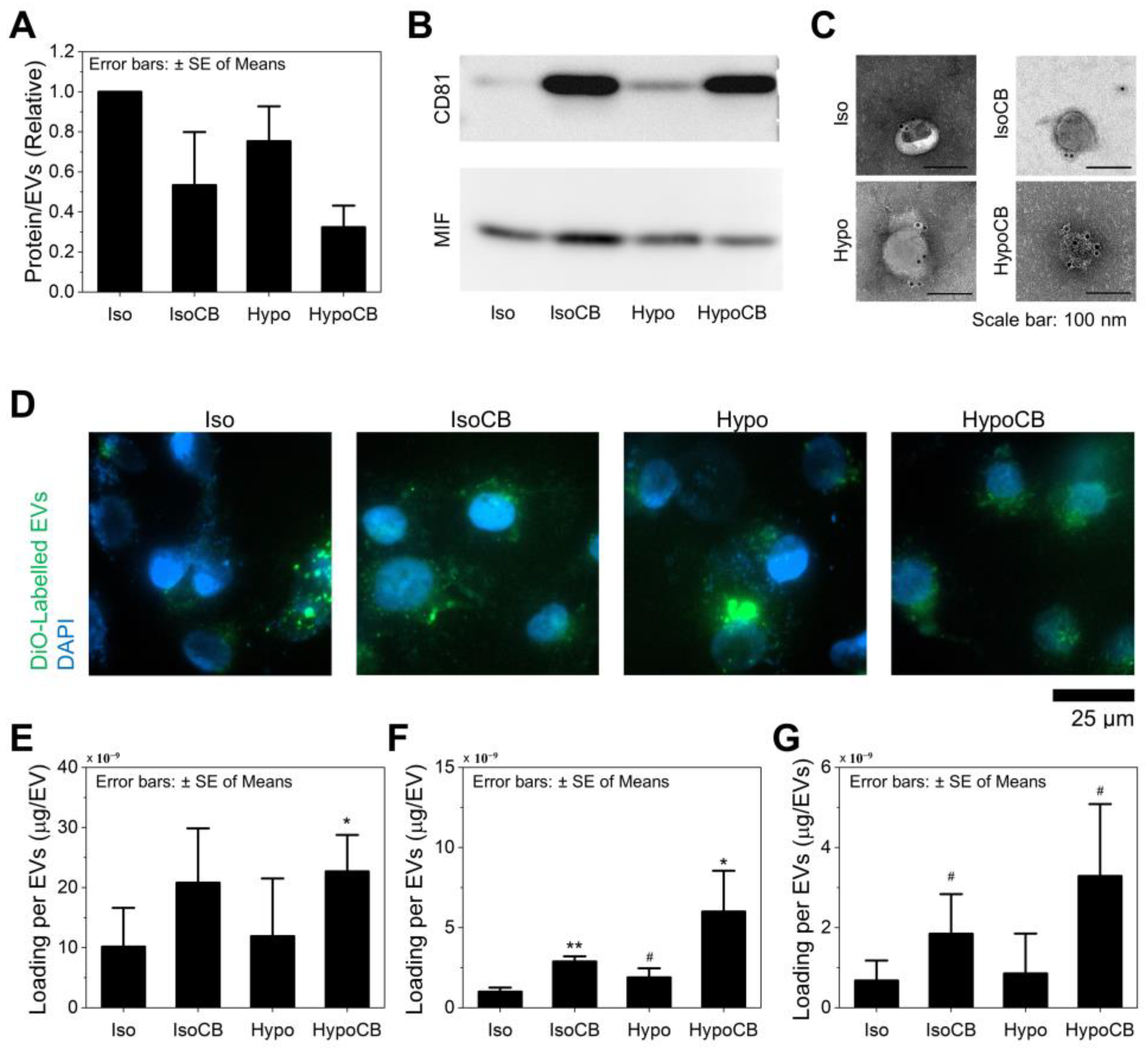 Nanomaterials 12 00003 g004