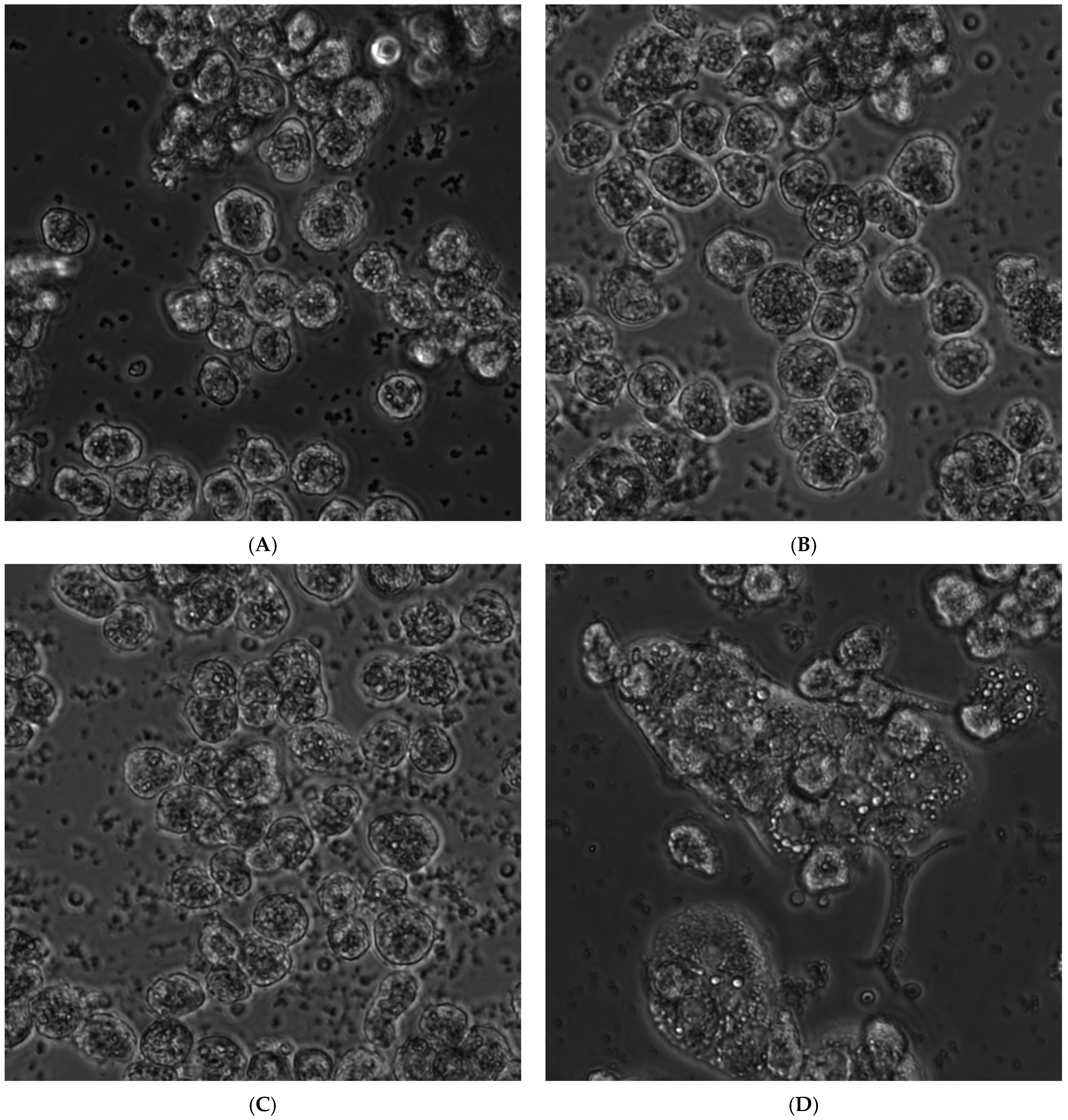 Nanomaterials 12 00016 g005a