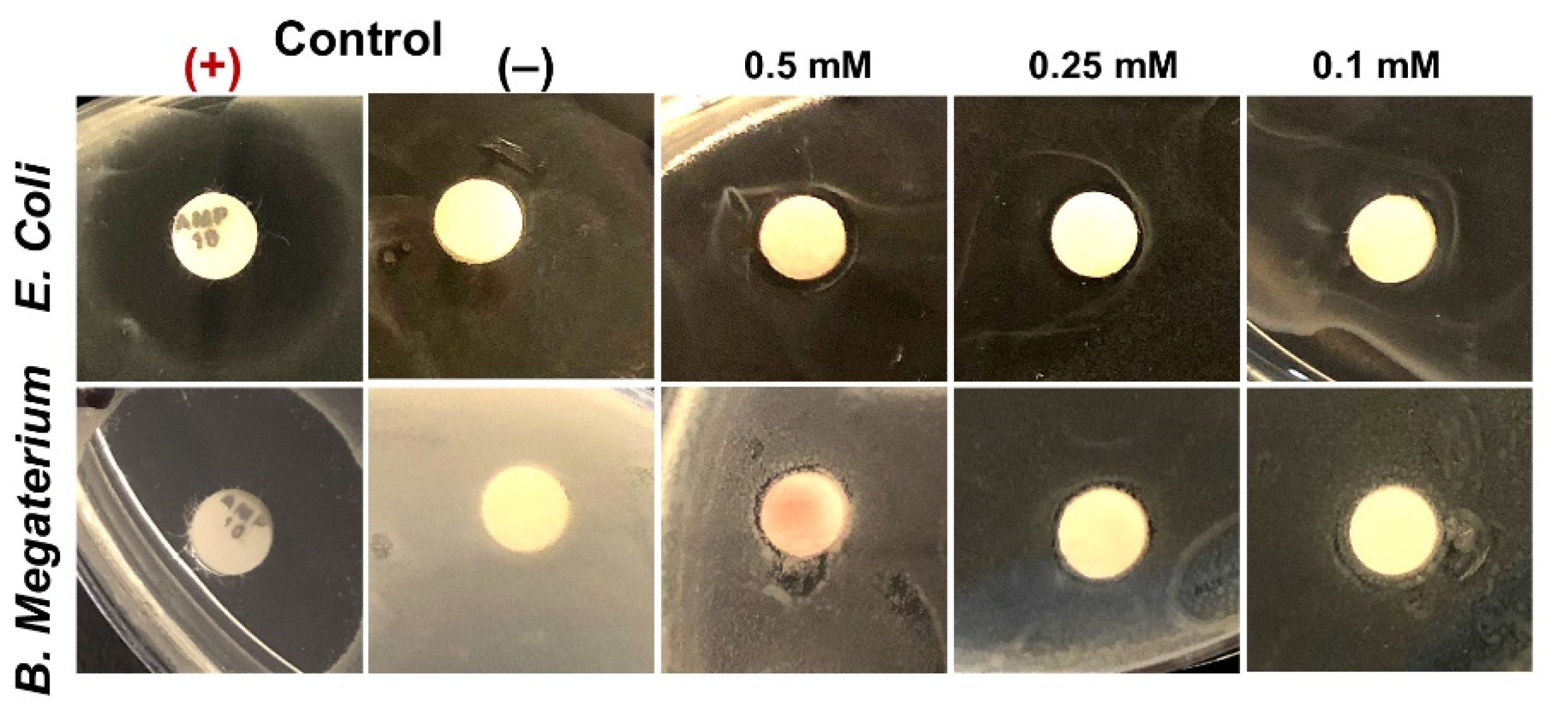 Nanomaterials 12 00028 g007