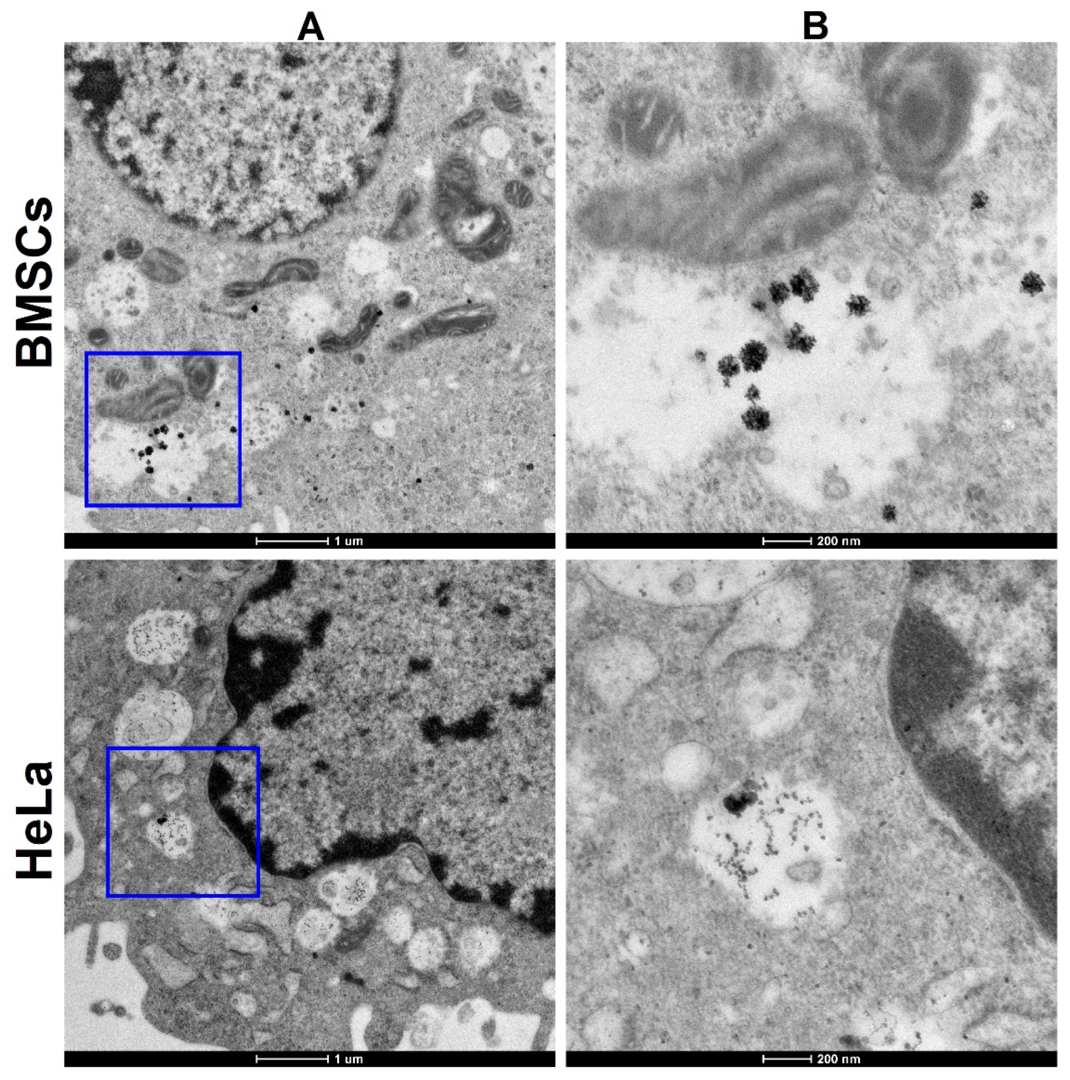 Nanomaterials 12 00028 g009