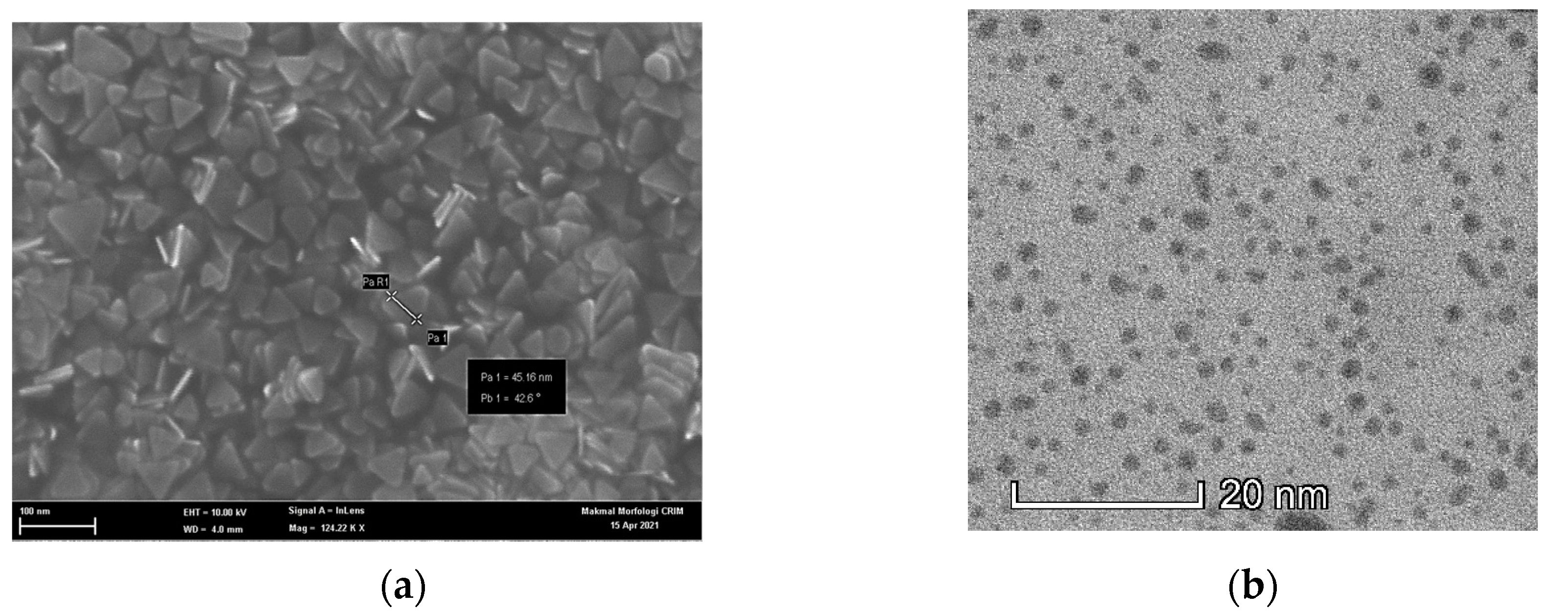 Nanomaterials 12 00035 g007