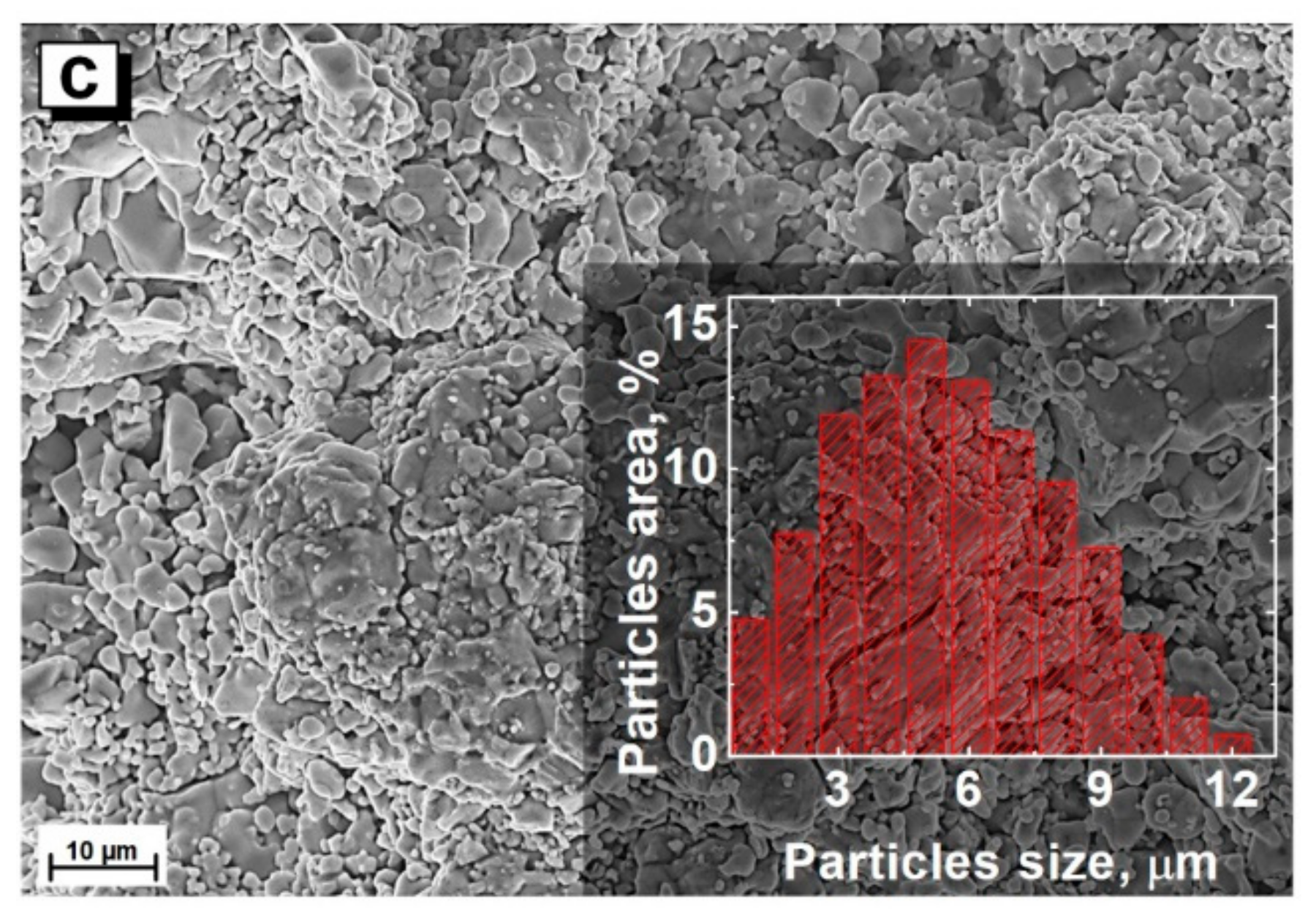Nanomaterials 12 00036 g003b