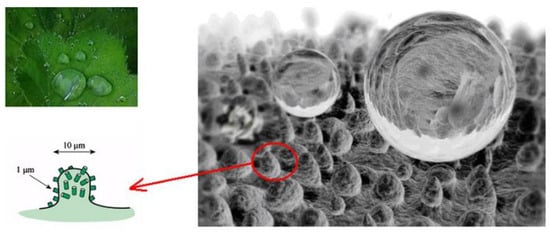 Nanomaterials 12 00044 g003 550