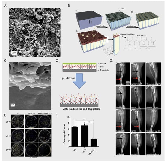 Nanomaterials 12 00047 g002