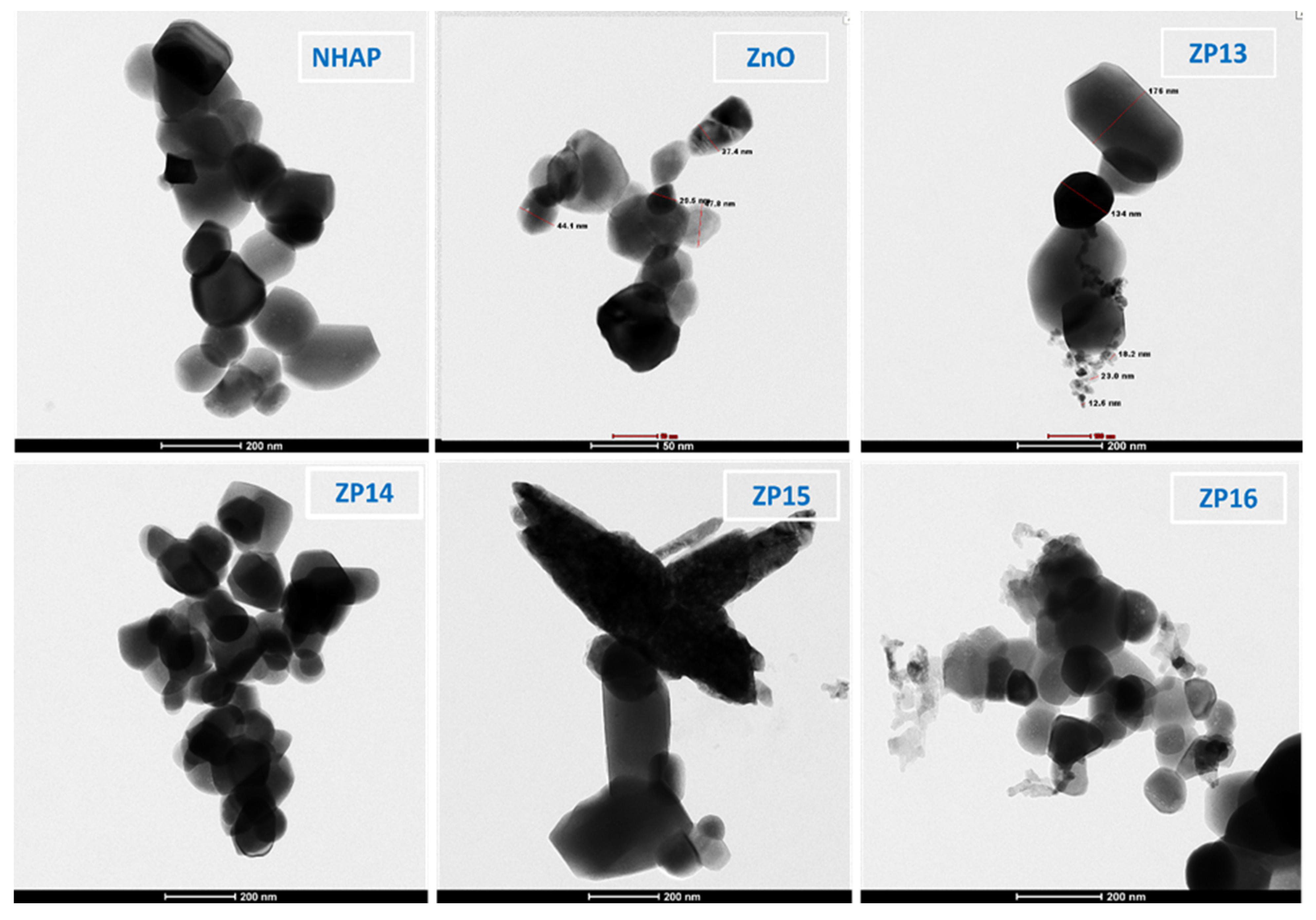 Nanomaterials 12 00049 g004