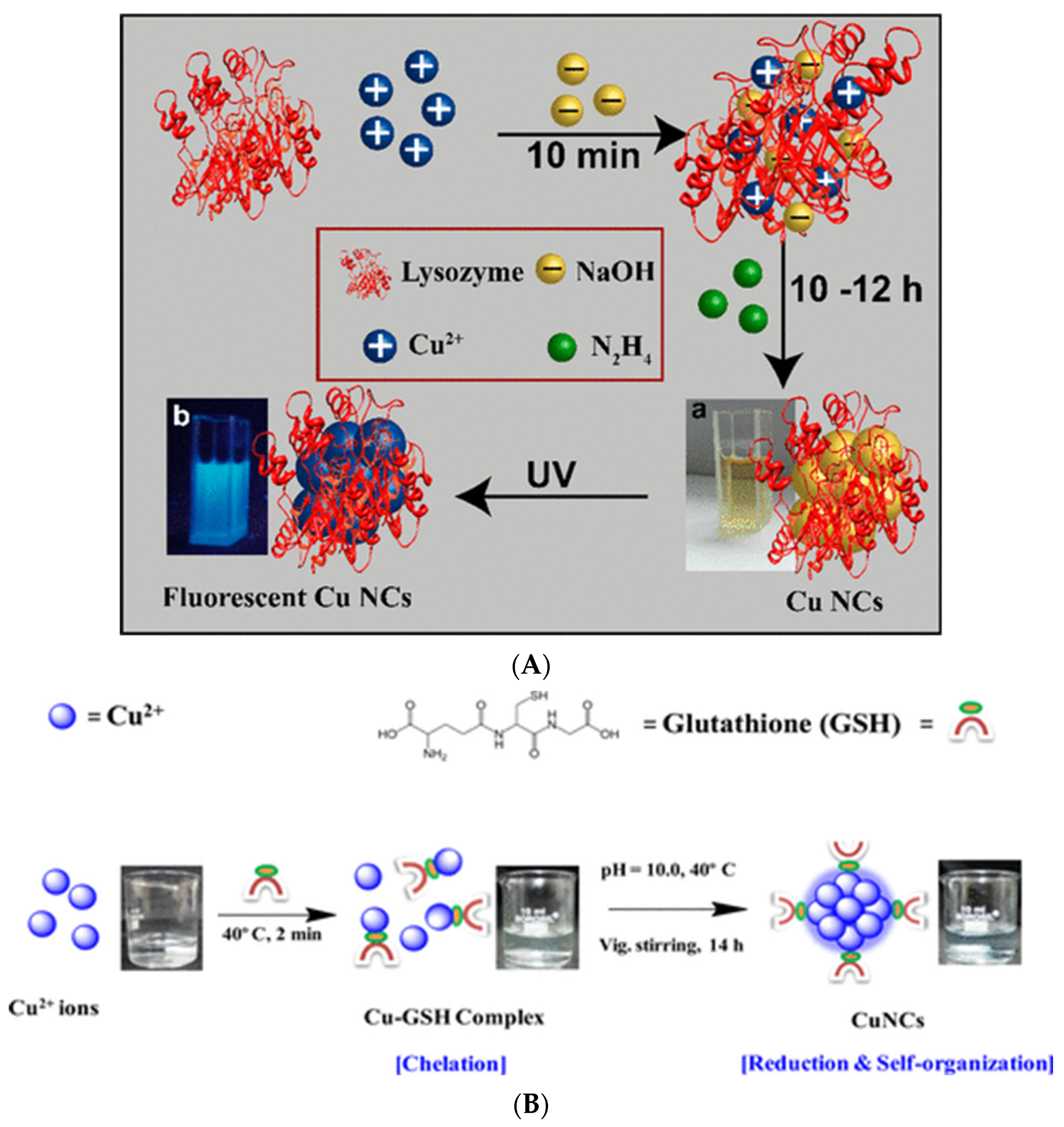 Nanomaterials 12 00062 g002