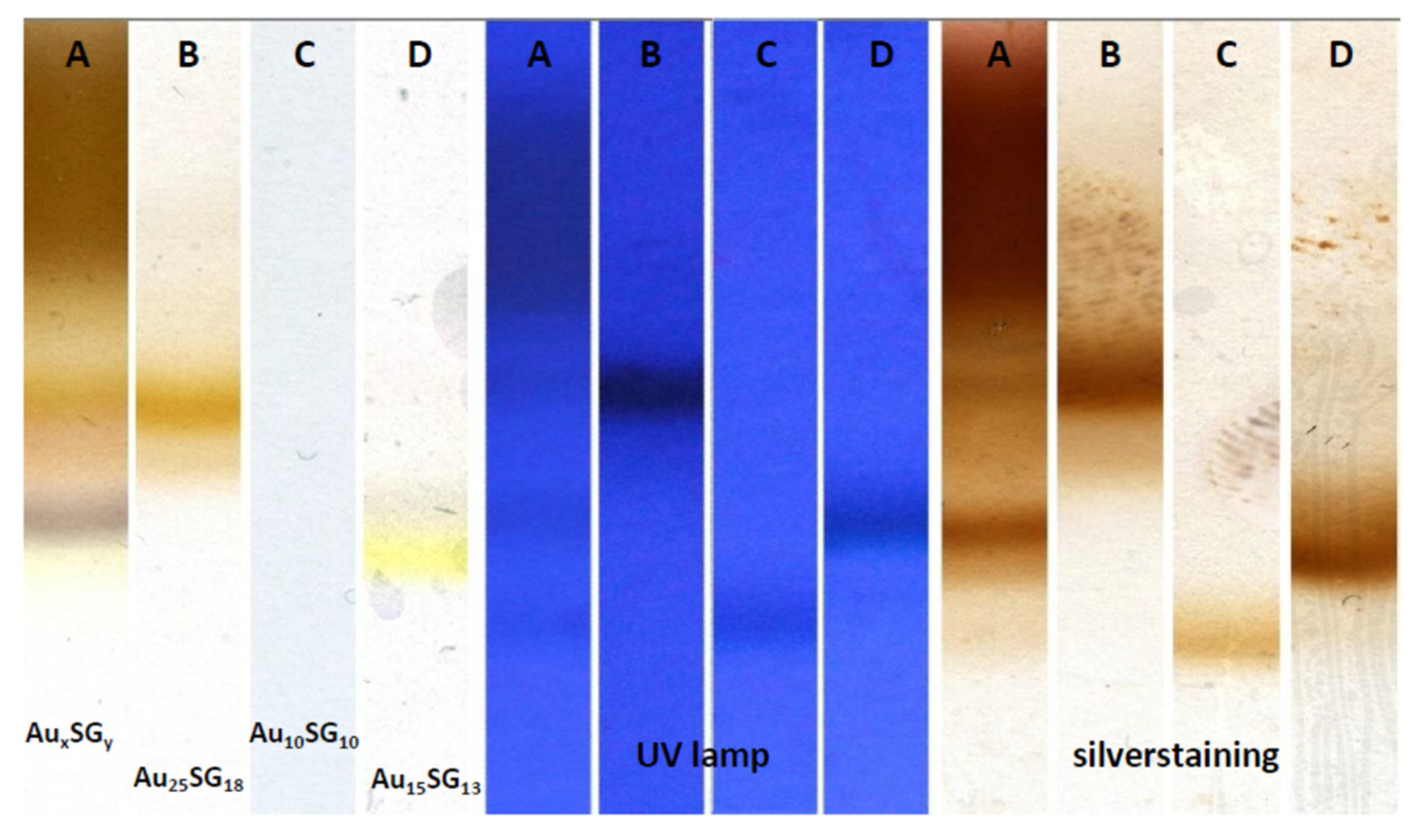 Nanomaterials 12 00062 g003