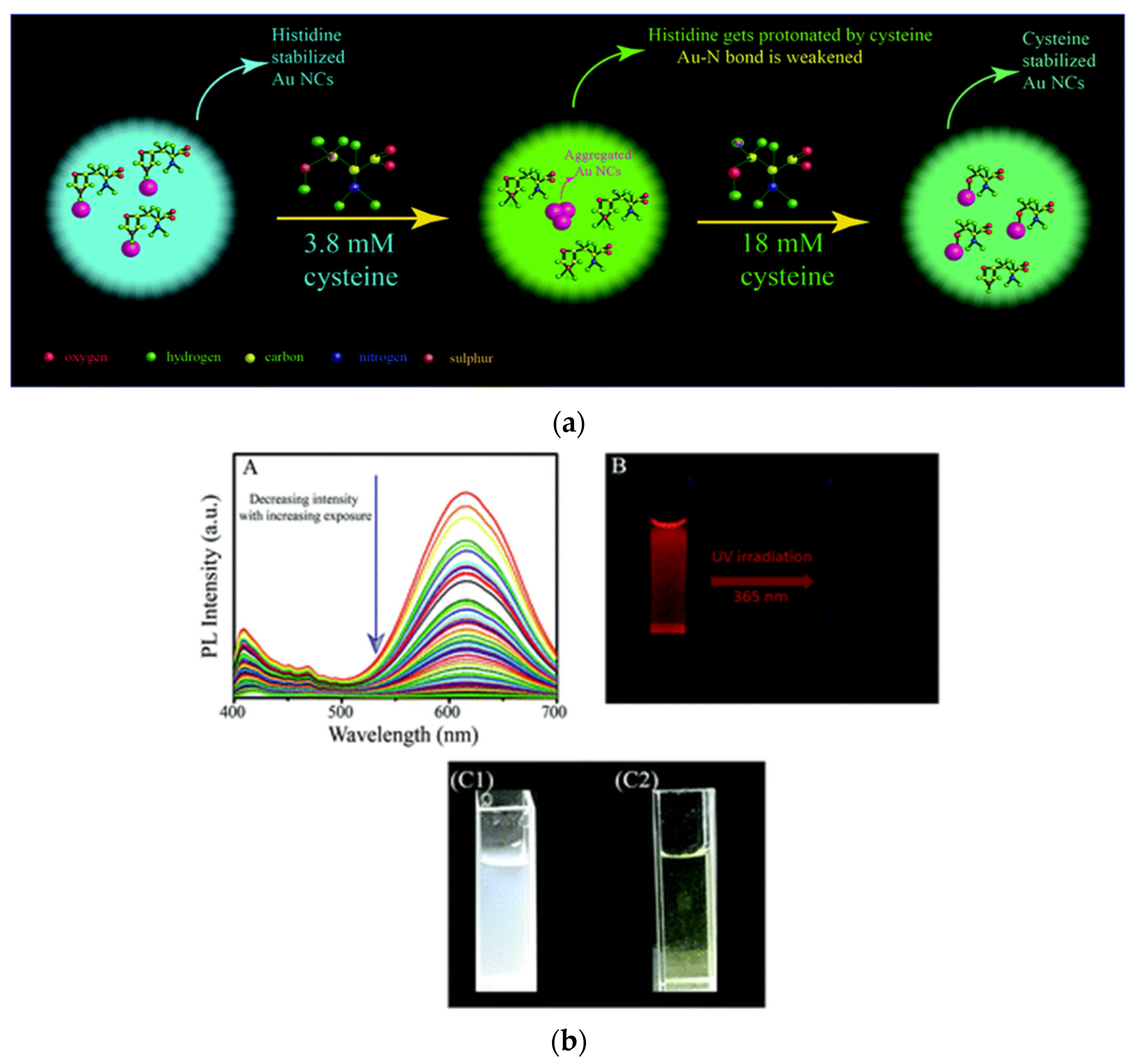 Nanomaterials 12 00062 g005