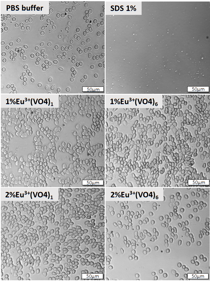 Nanomaterials 12 00077 g009