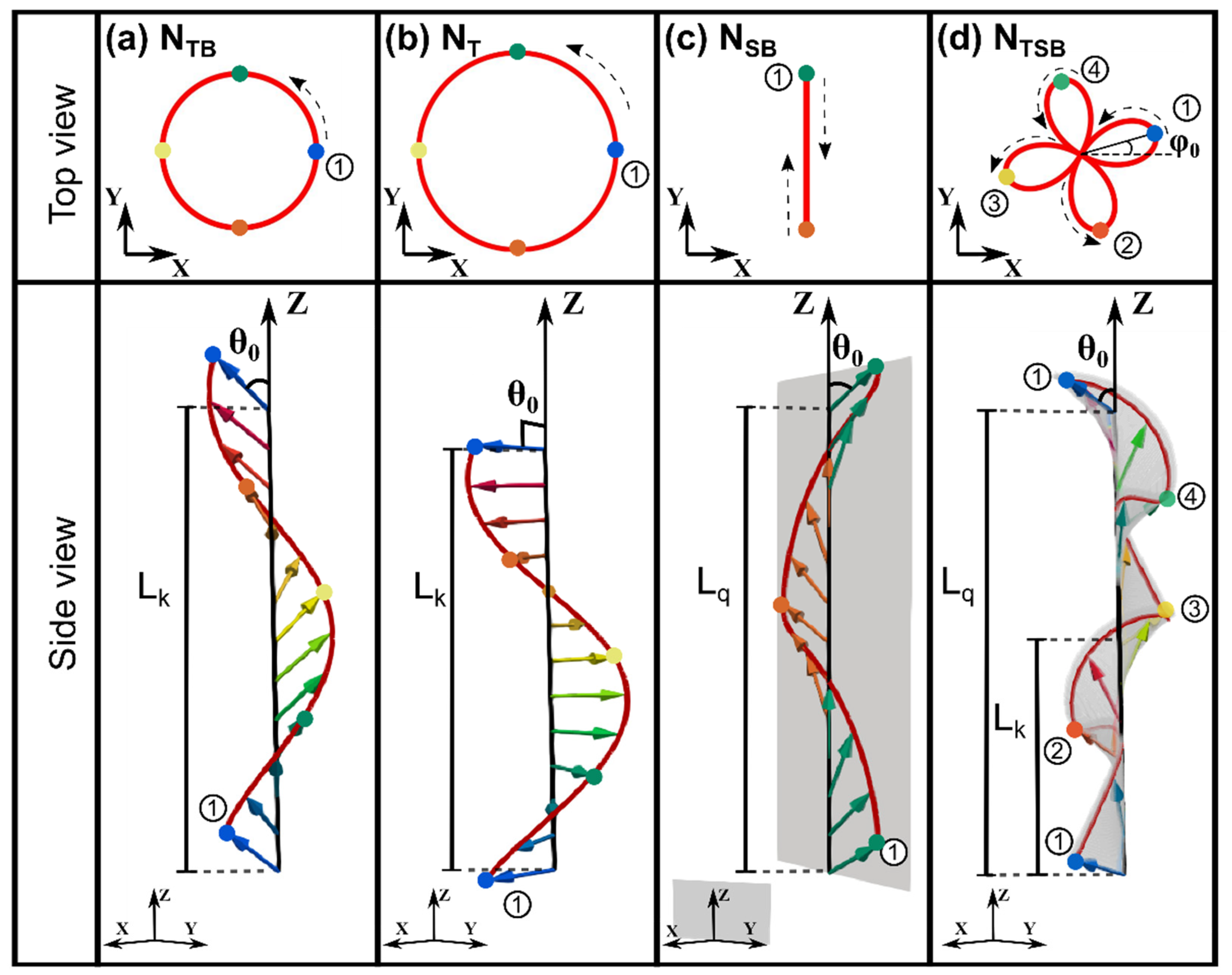 Nanomaterials 12 00093 g002