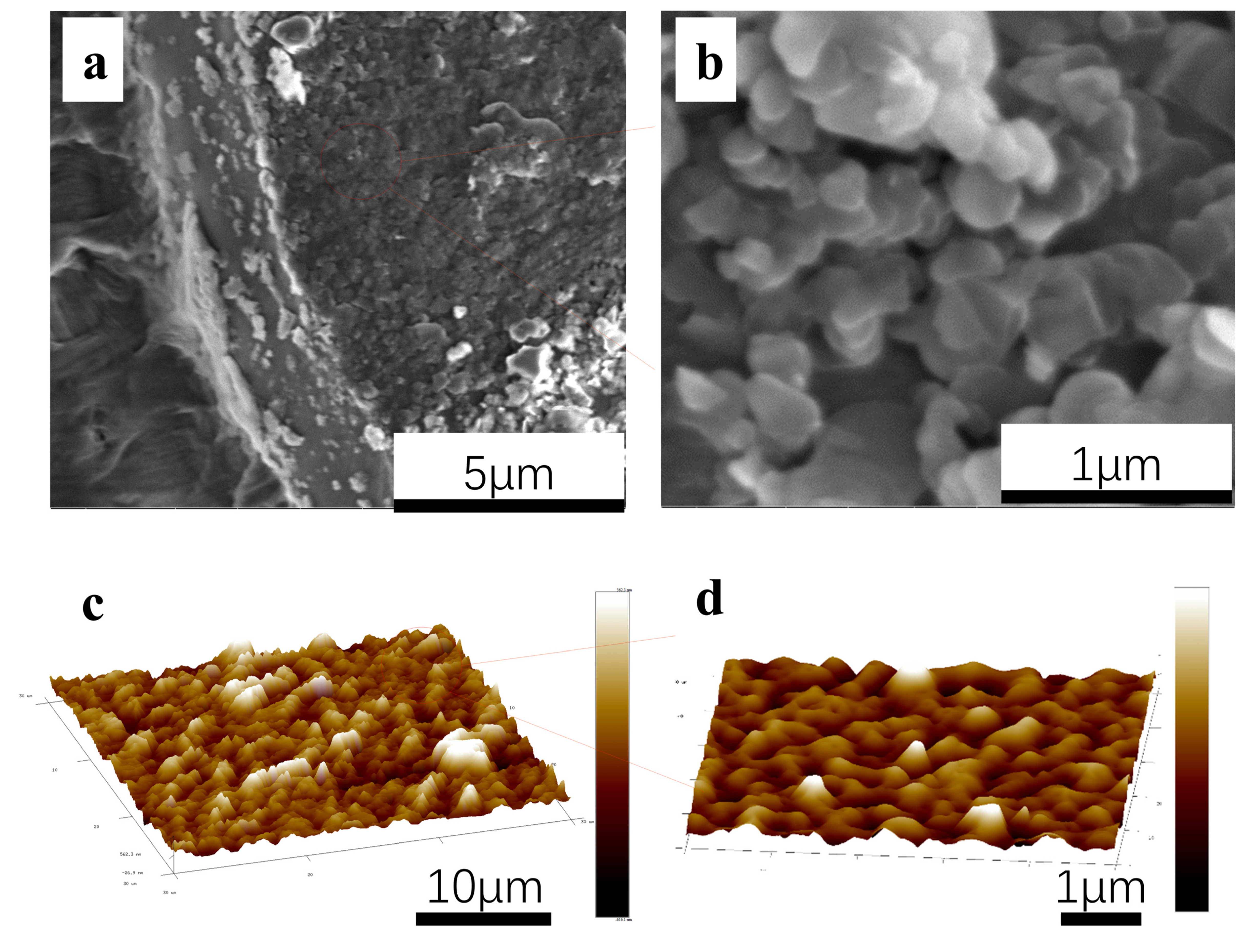 Nanomaterials 12 00111 g002