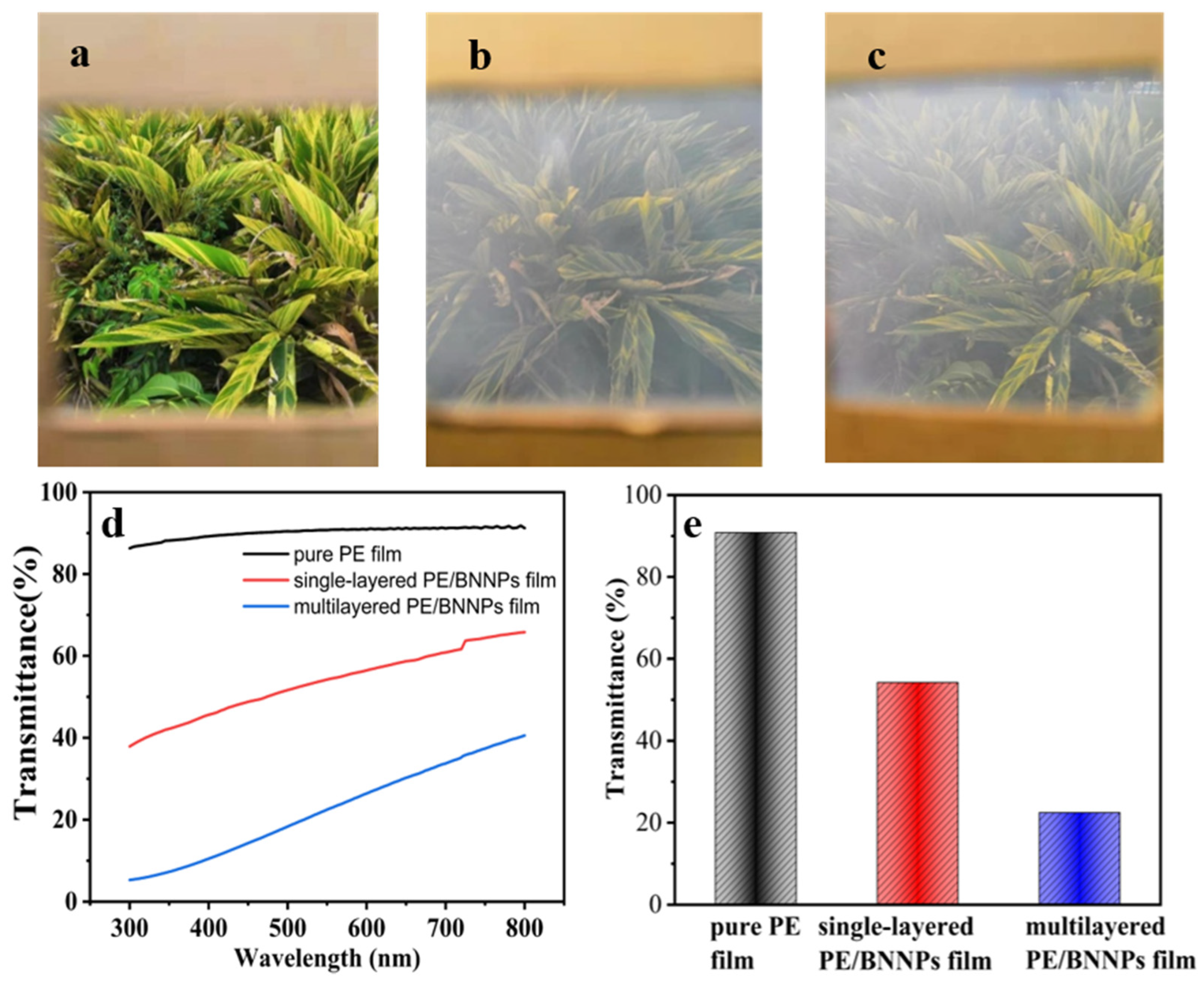 Nanomaterials 12 00111 g004