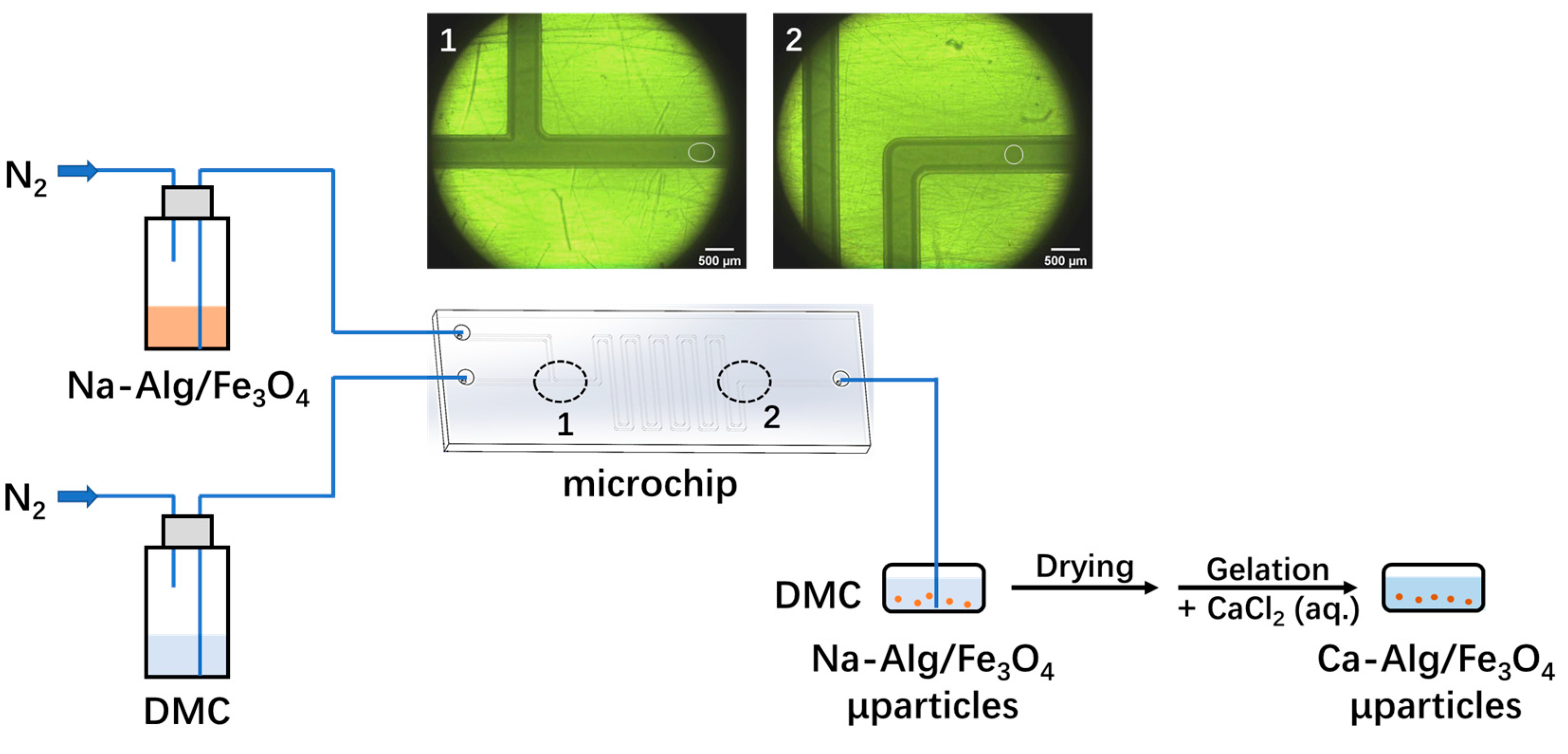 Nanomaterials 12 00115 g001