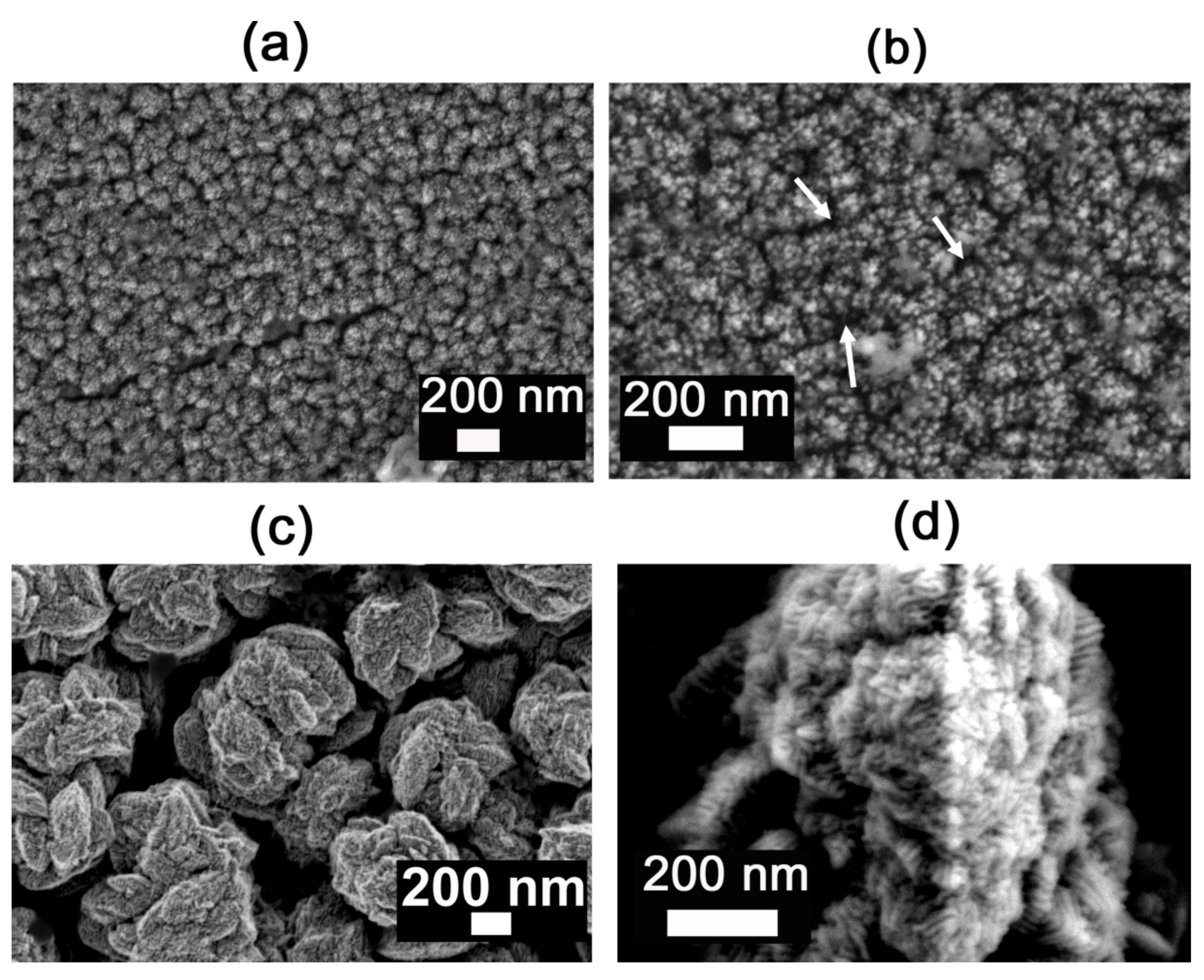 Nanomaterials 12 00118 g002
