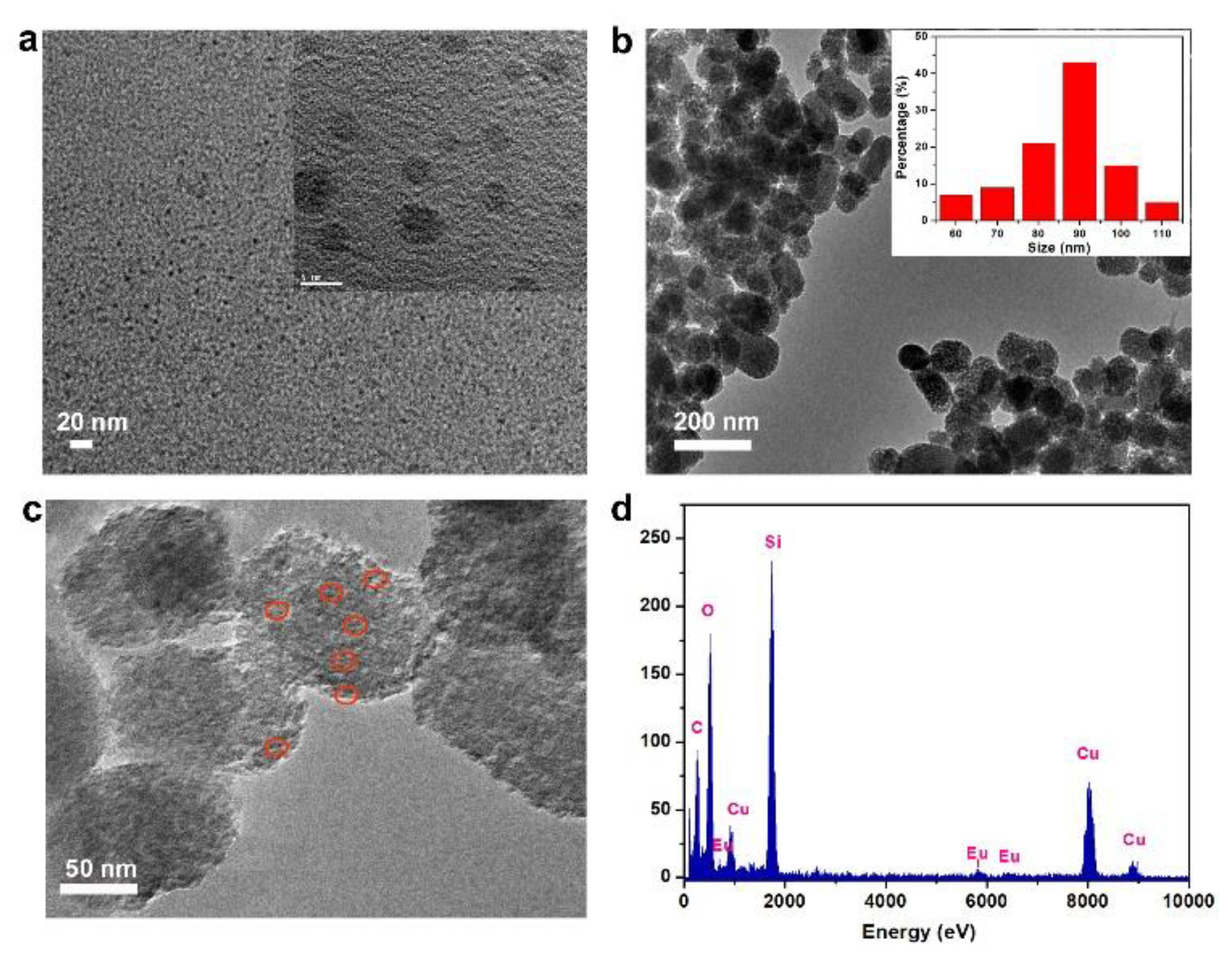 Nanomaterials 12 00128 g001