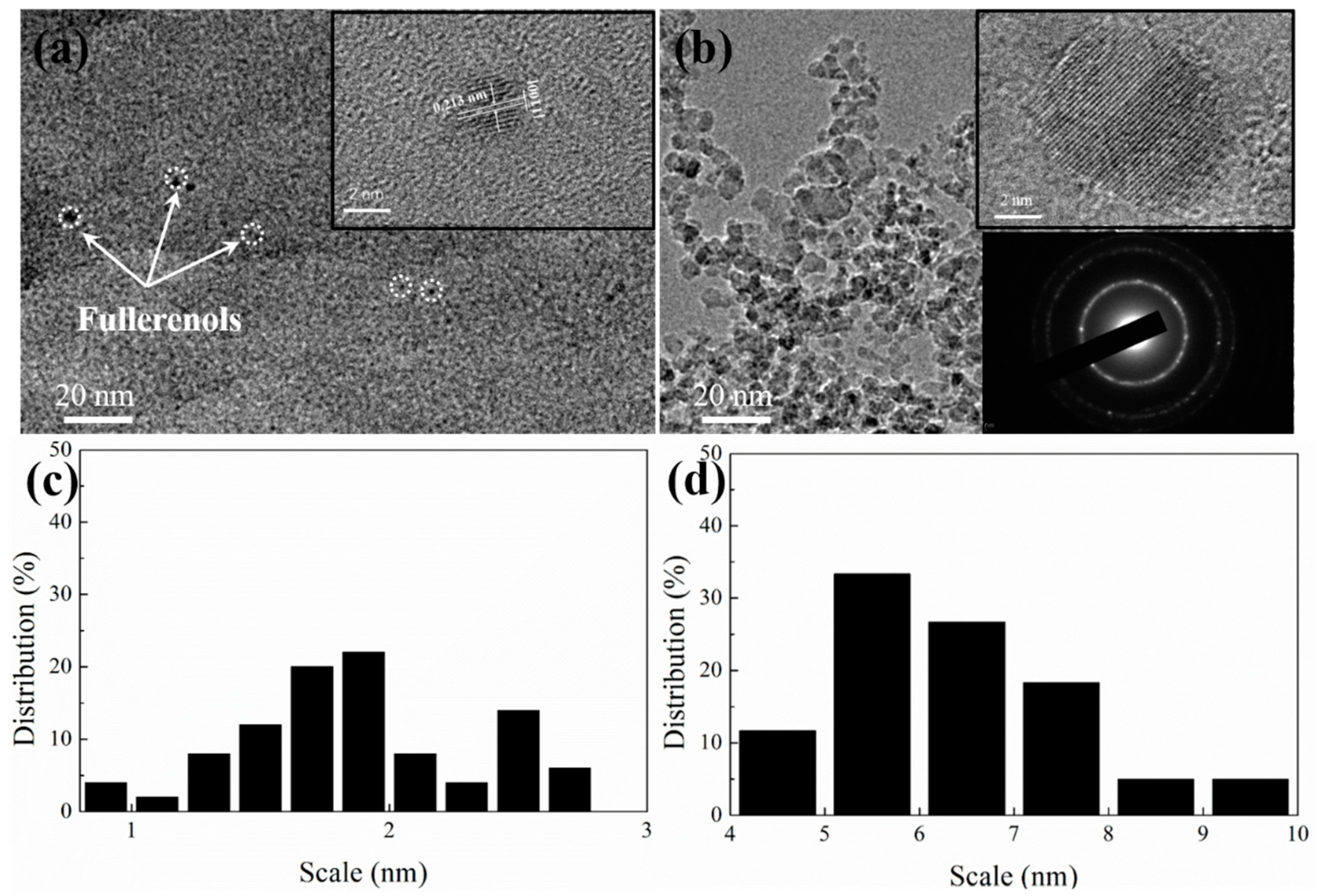 Nanomaterials 12 00139 g001
