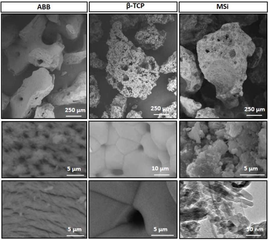 Nanomaterials 12 00143 g003 Nanomaterials 12 00143 g003