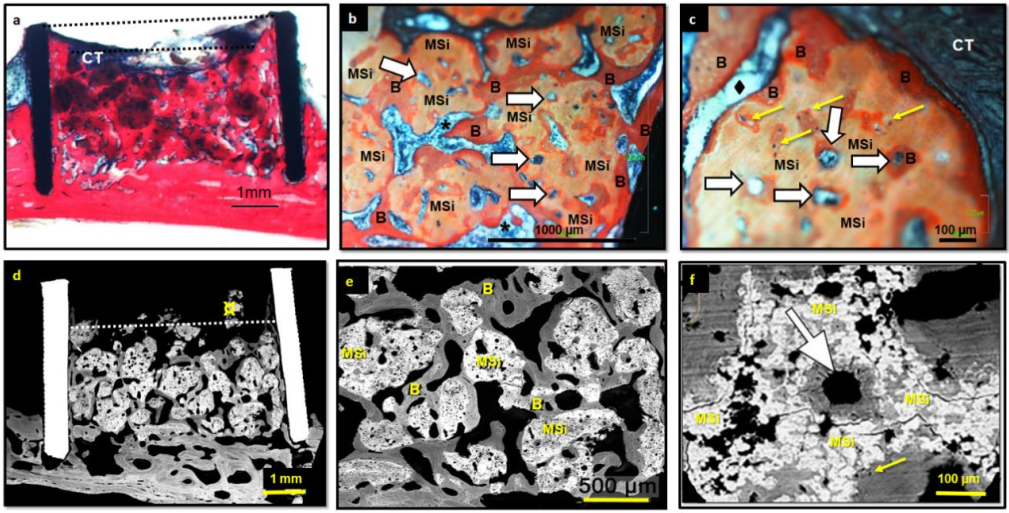 Nanomaterials 12 00143 g008 Nanomaterials 12 00143 g008