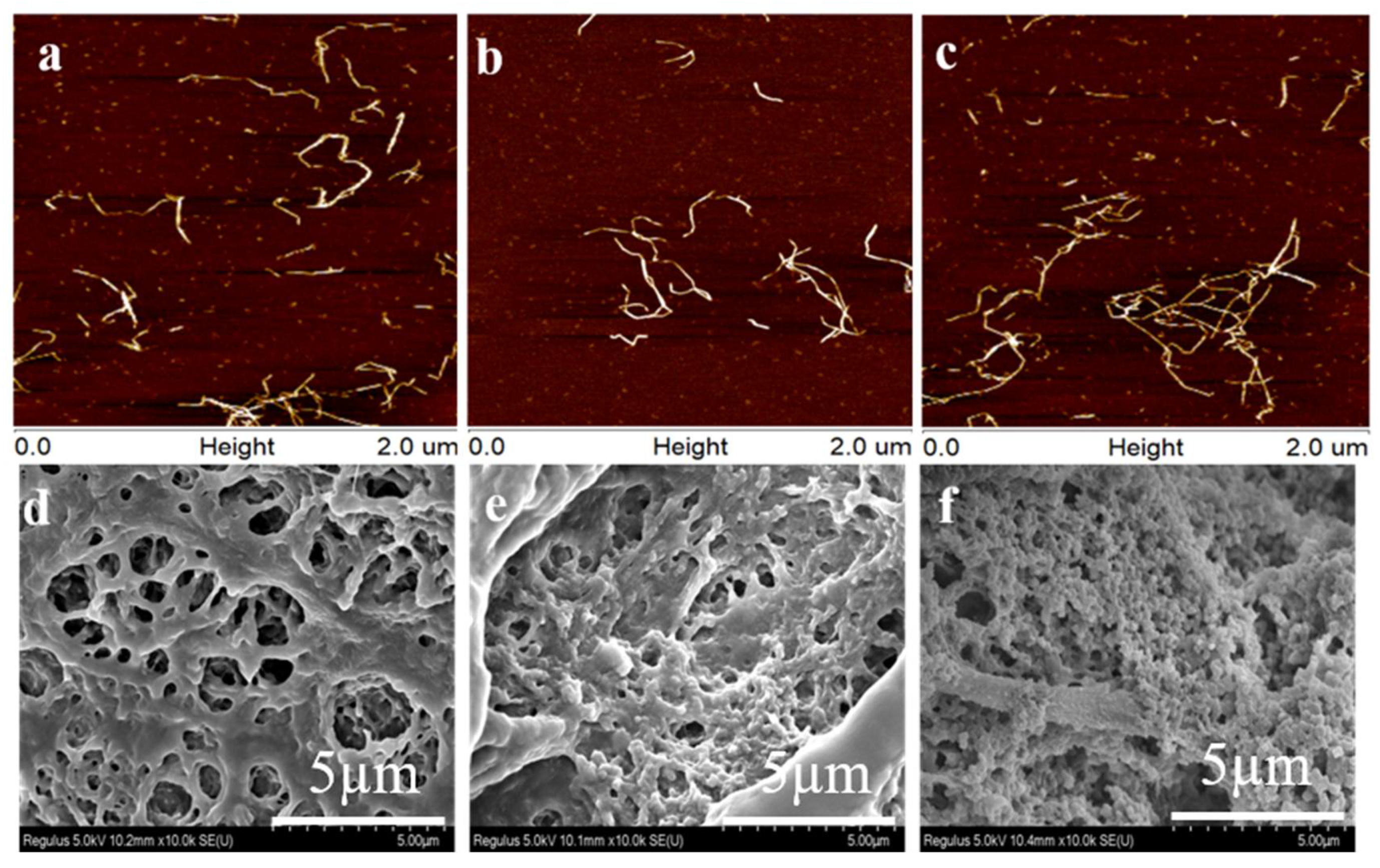 Nanomaterials 12 00160 g002