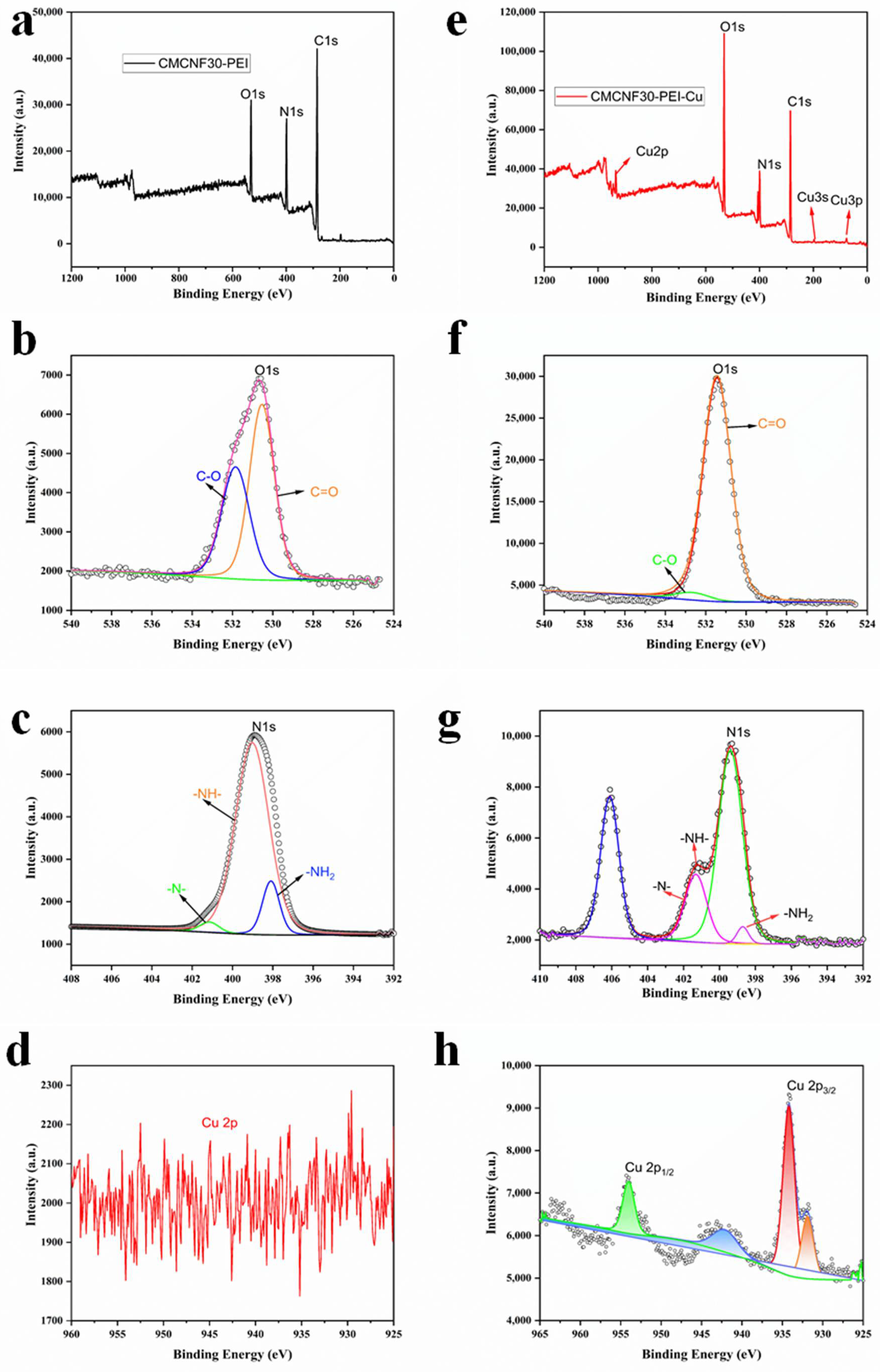 Nanomaterials 12 00160 g006