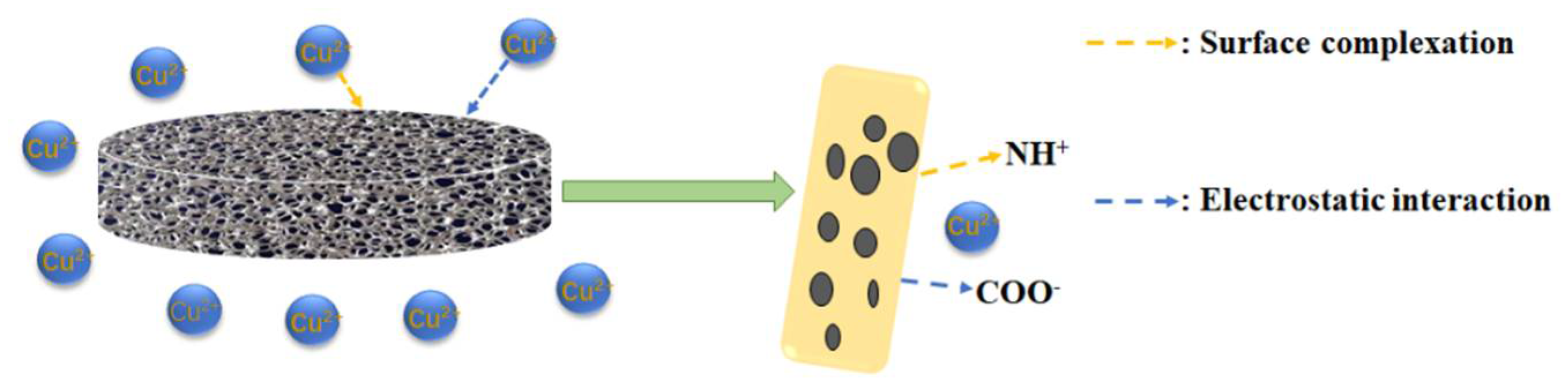 Nanomaterials 12 00160 g007