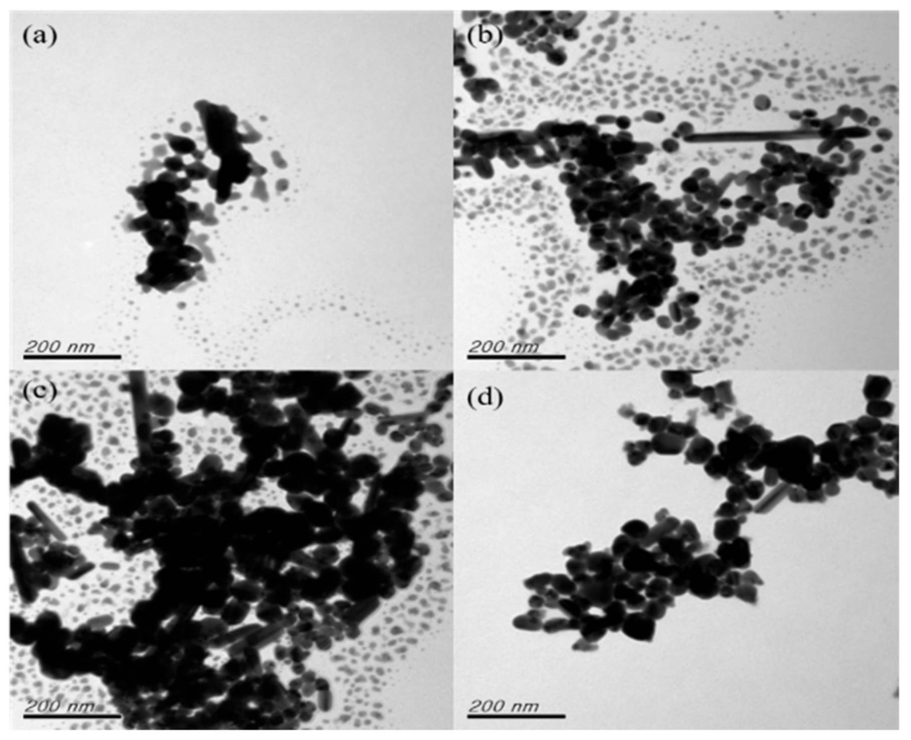 Nanomaterials 12 00171 g003